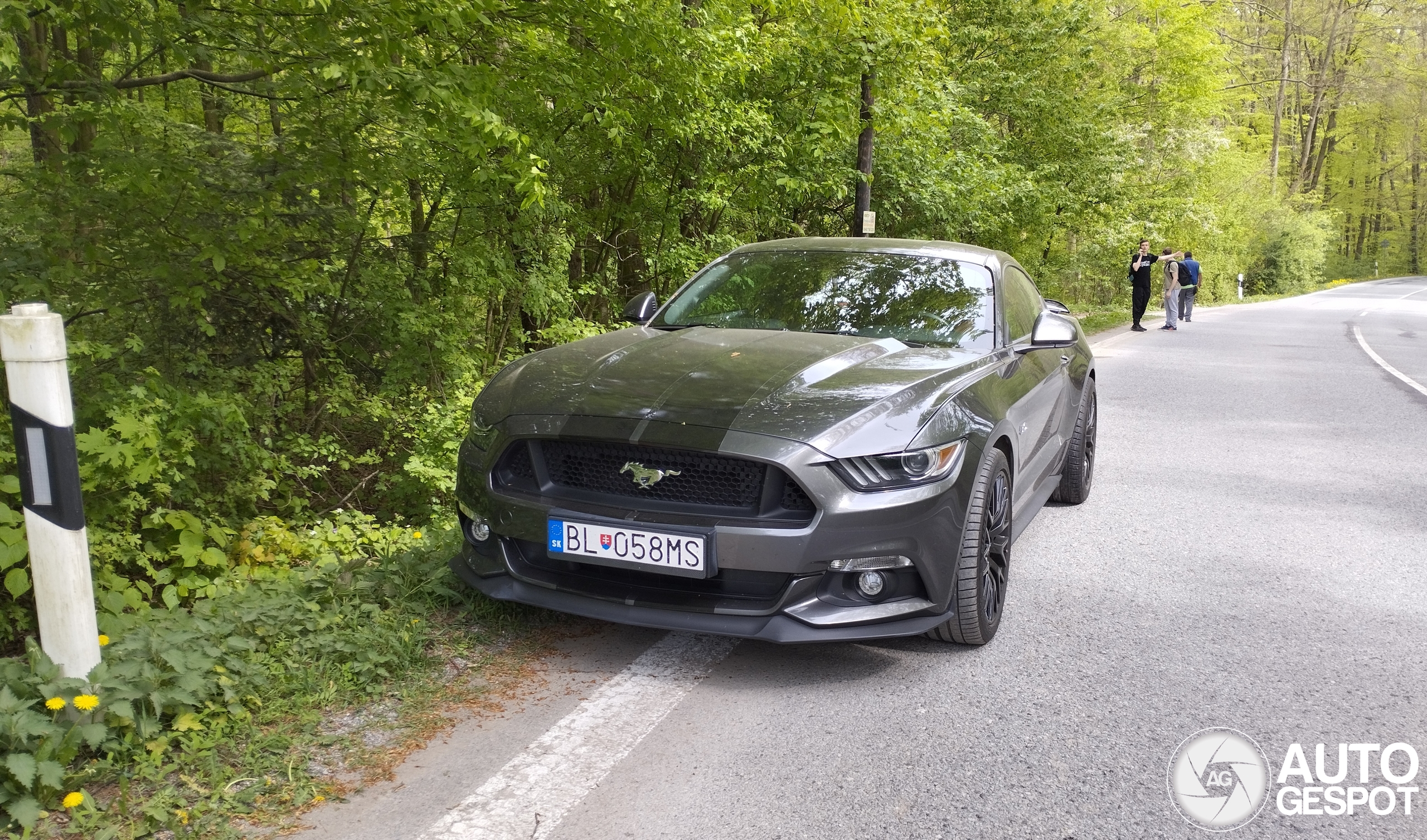 Ford Mustang GT 2015