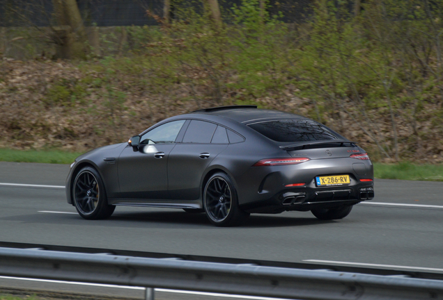 Mercedes-AMG GT 63 S E Performance X290 2024