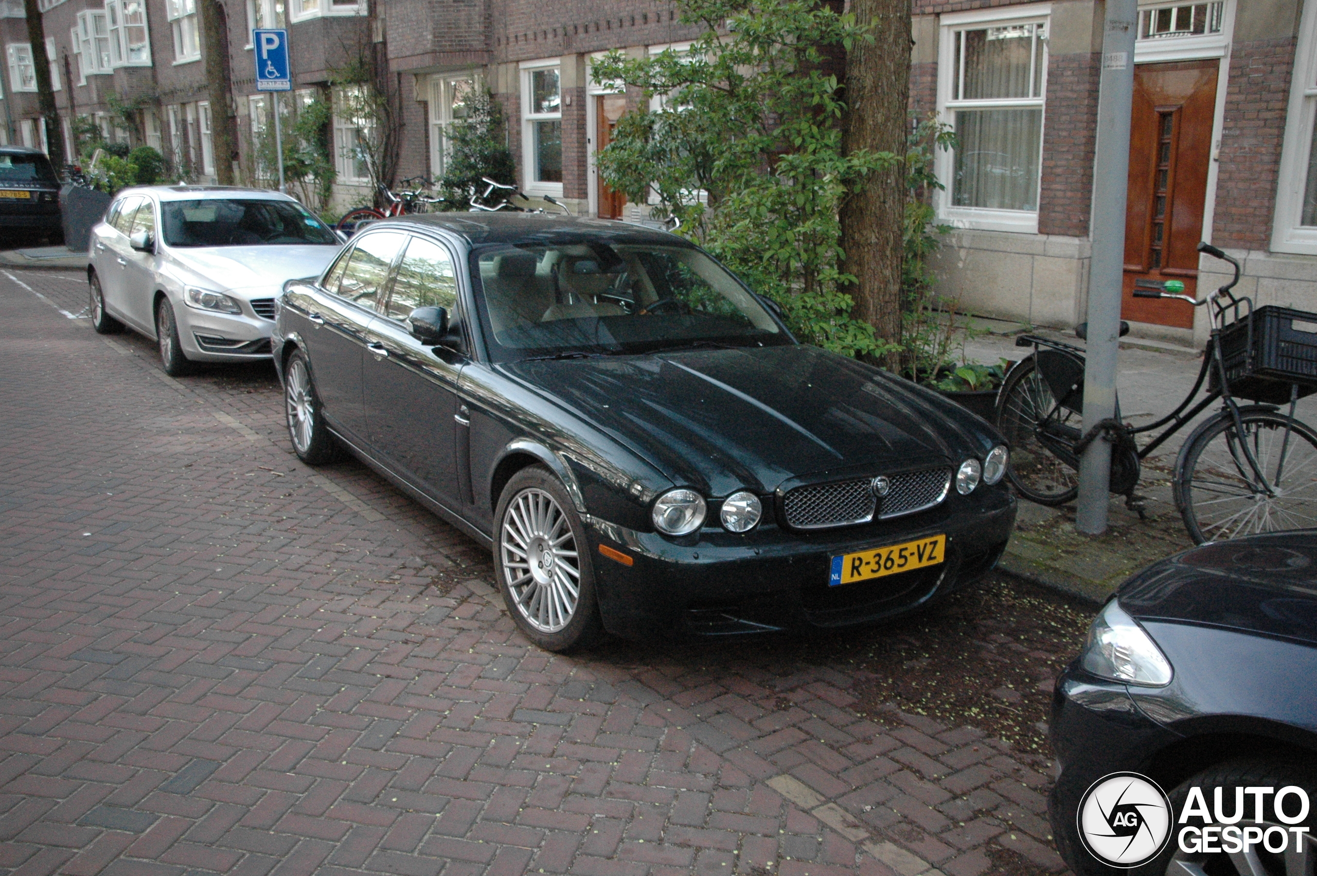 Jaguar XJR