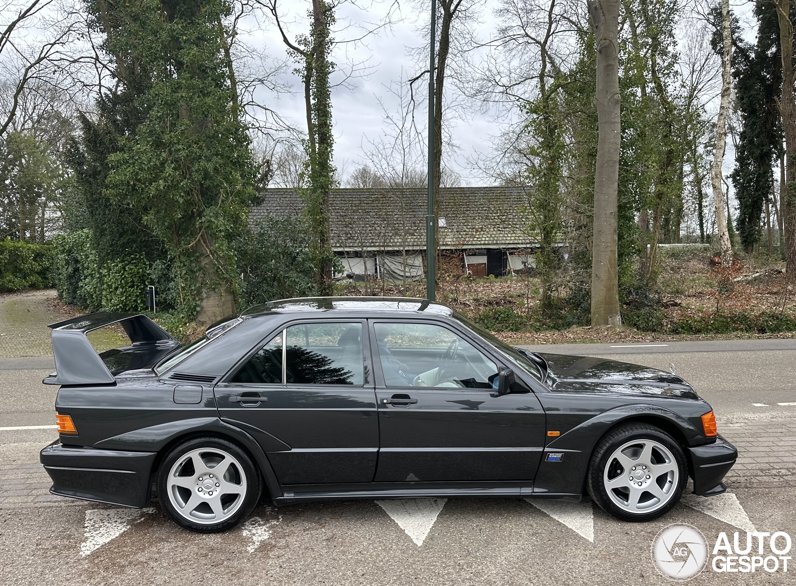Mercedes-Benz 190E 2.5-16v EVO II - 23 April 2024 - Autogespot