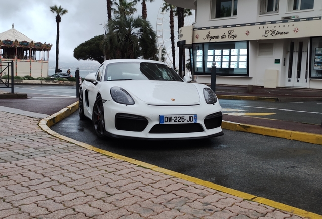 Porsche 981 Cayman GT4