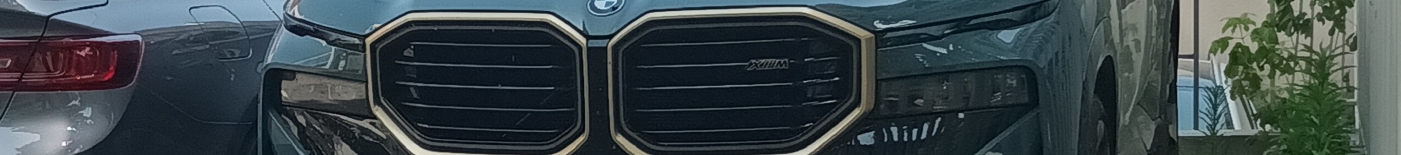 BMW XM G09