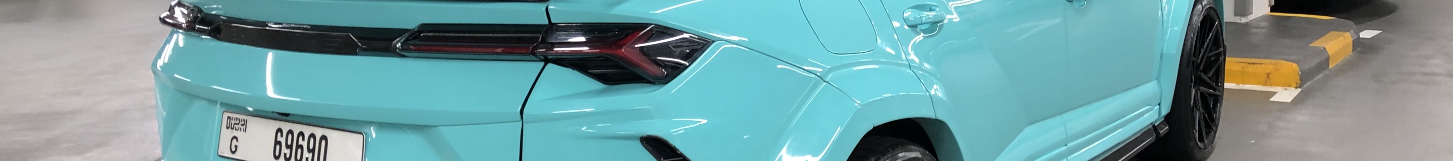 Lamborghini Urus Mansory Venatus