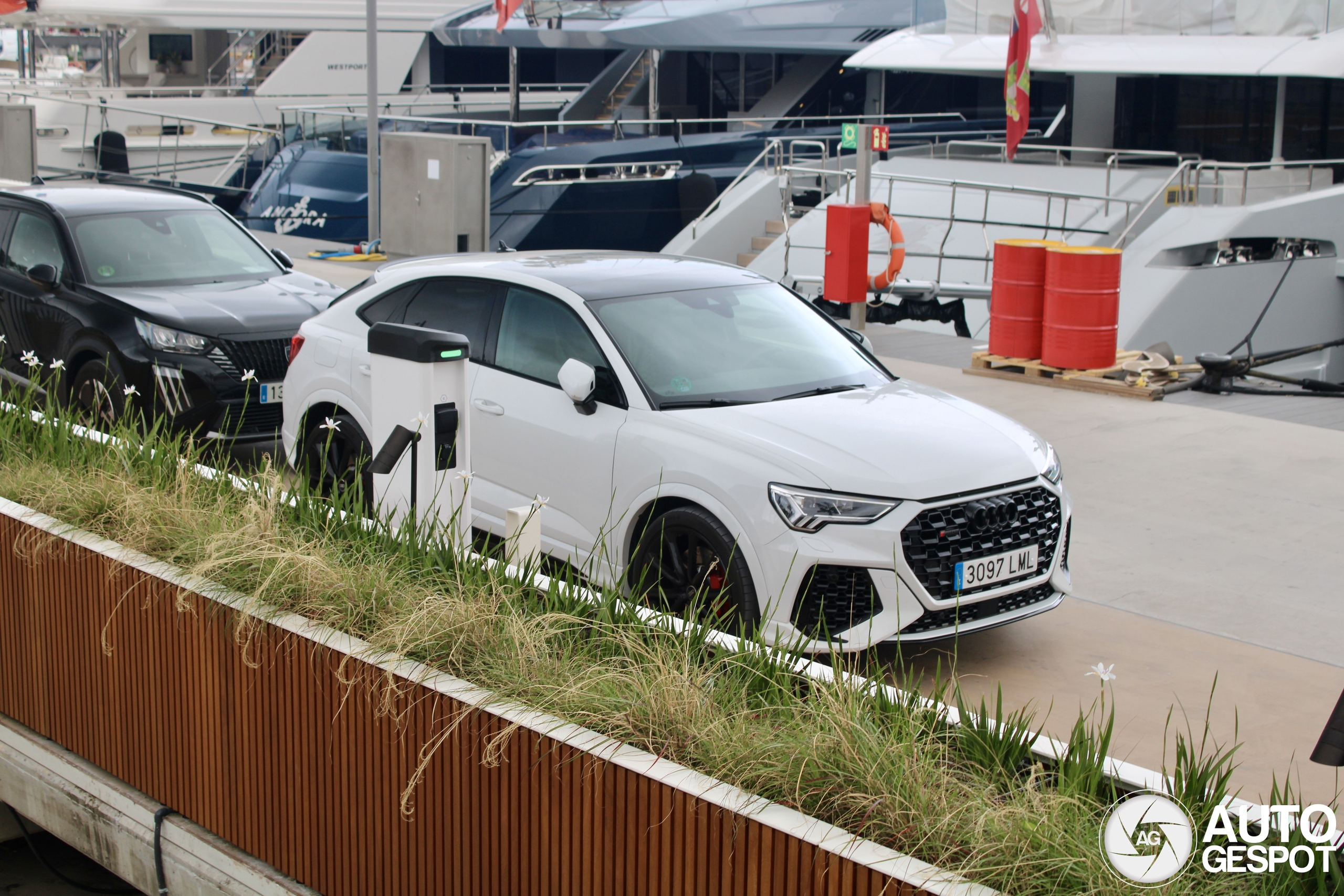 Audi RS Q3 Sportback 2020