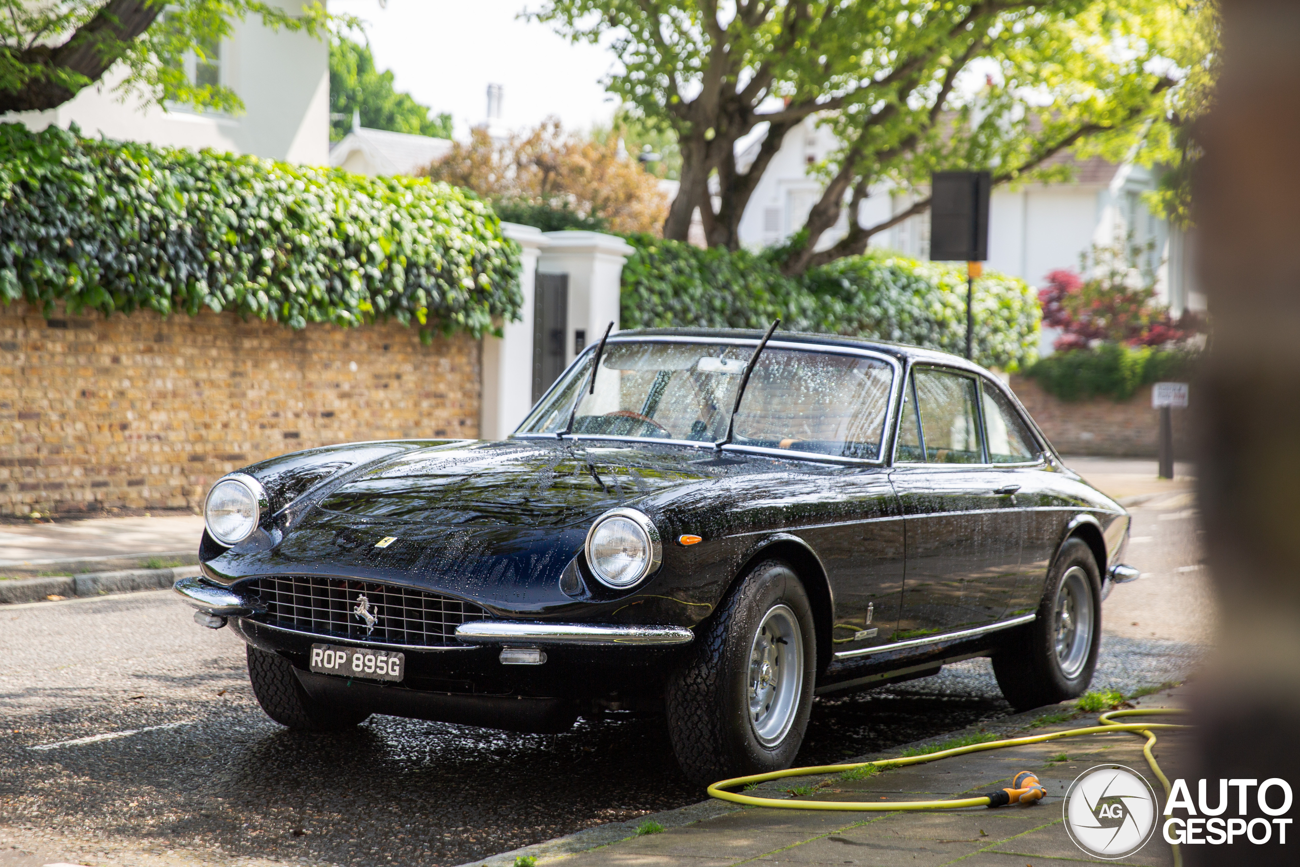 Ferrari 365 GTC