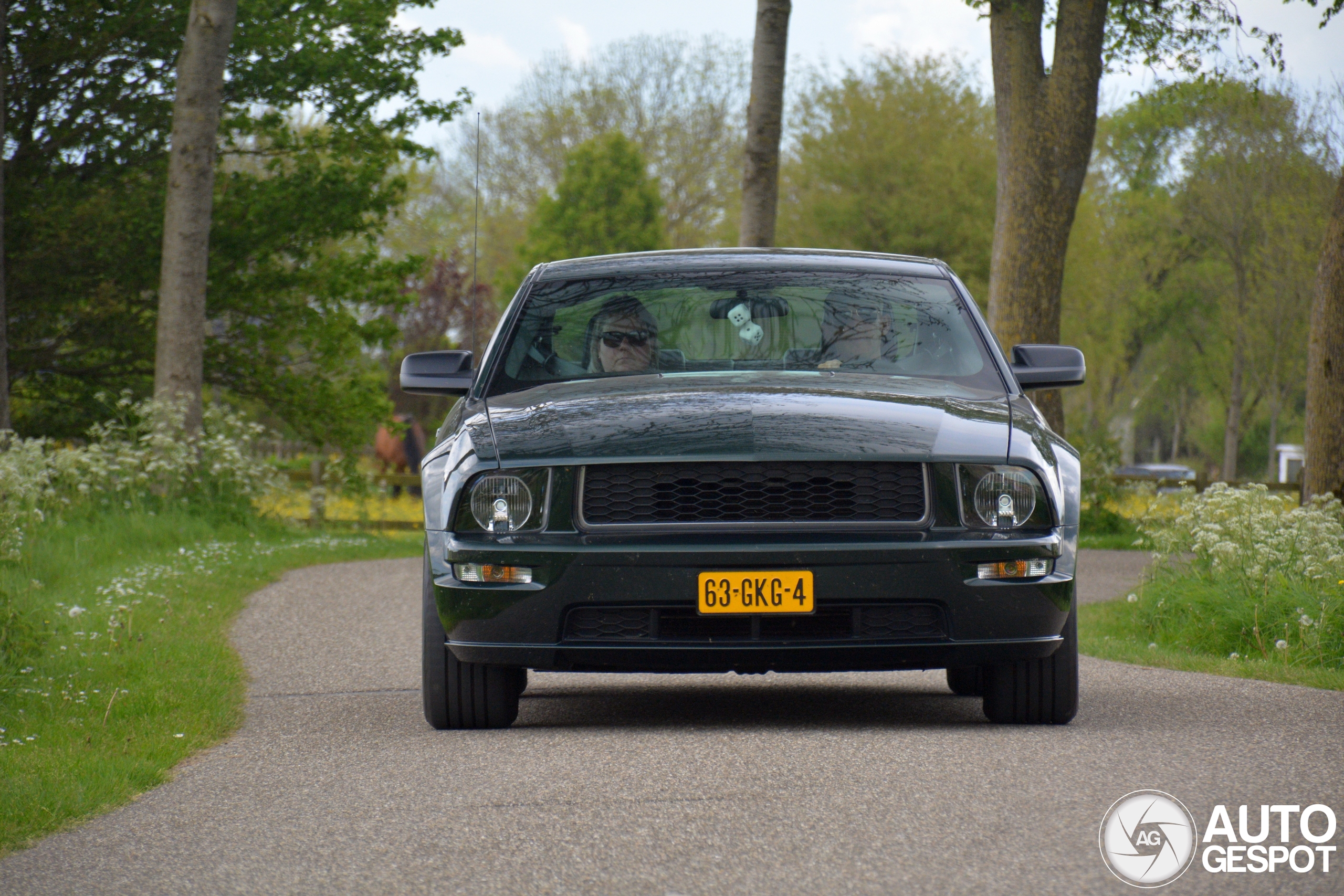 Ford Mustang Bullitt