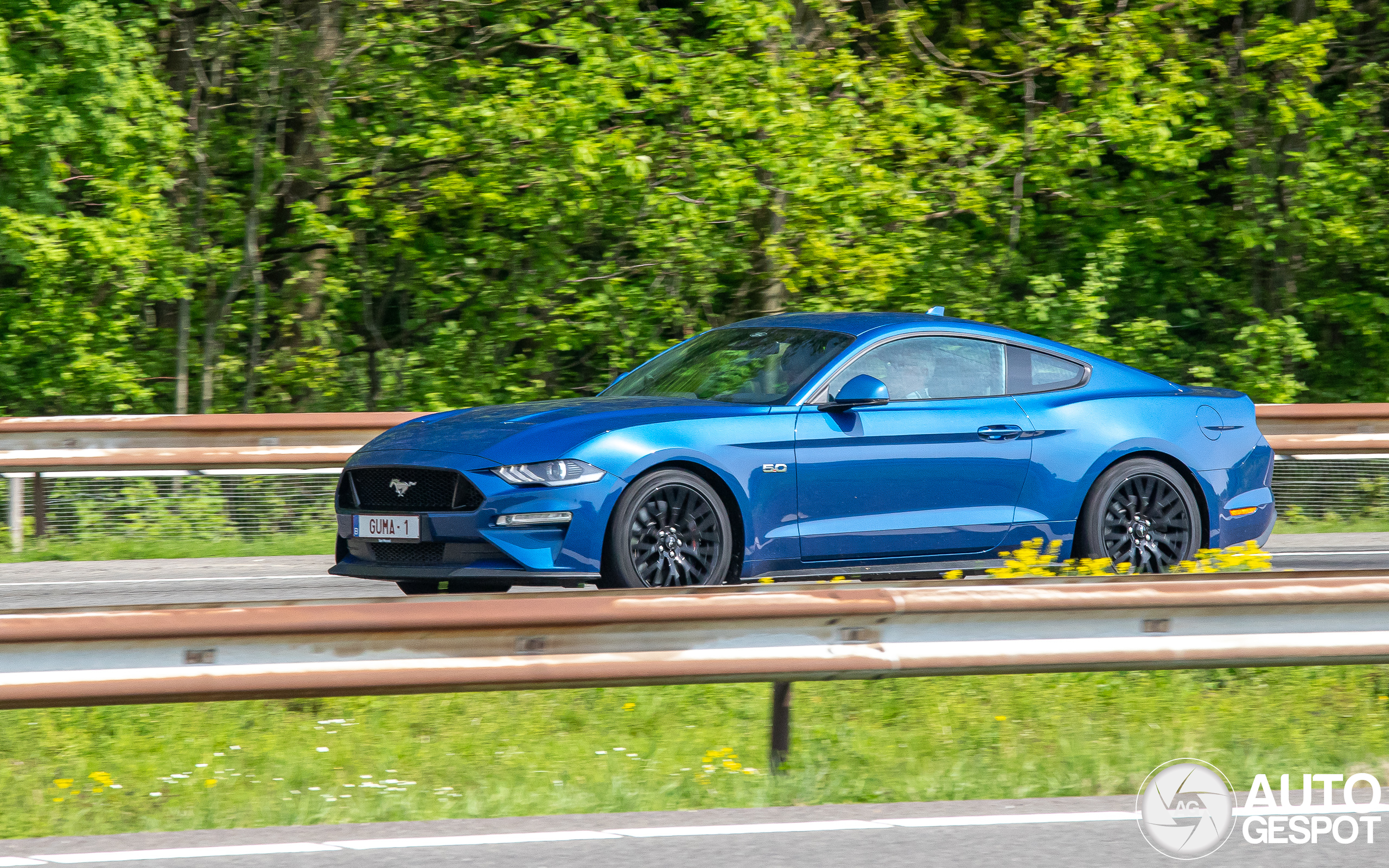 Ford Mustang GT 2018