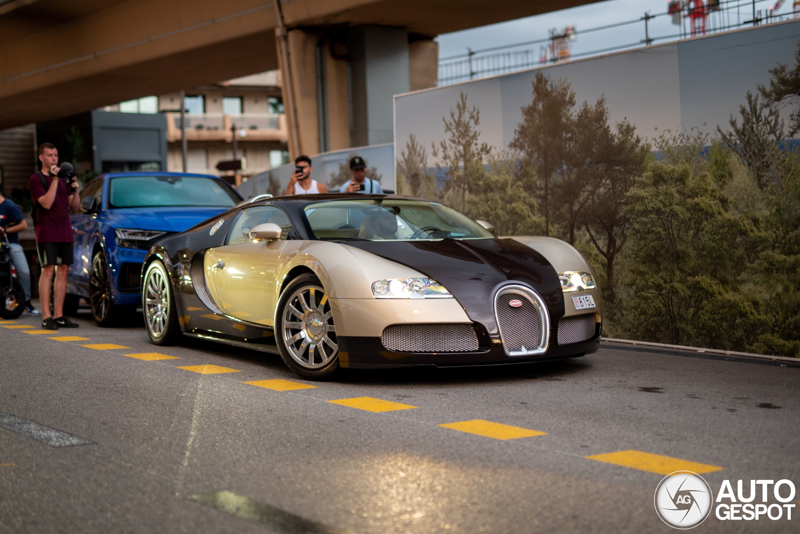 Zet 'm daar maar neer: Bugatti Veyron in Monaco