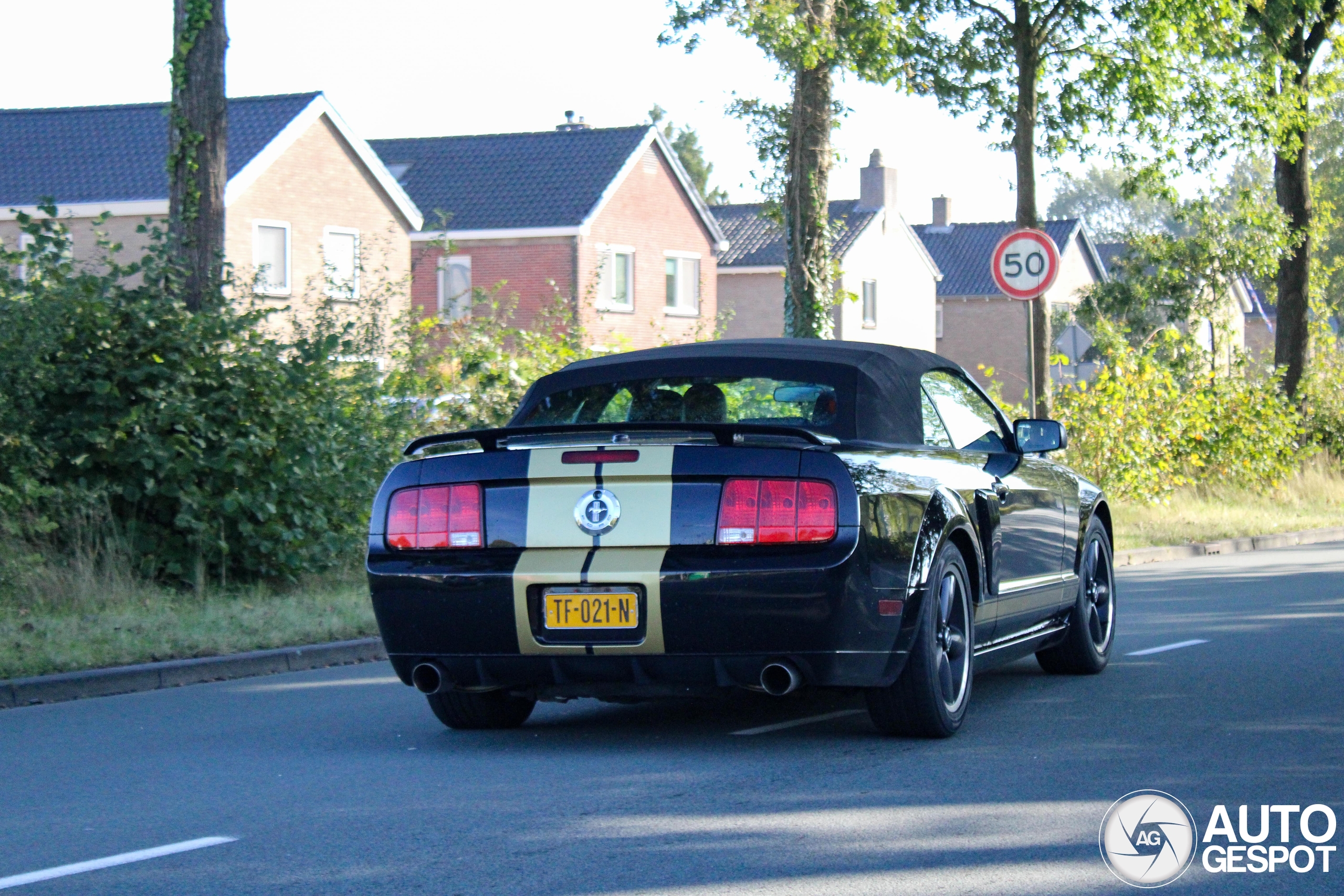 Shelby Mustang GT-H was de ultieme huurbak