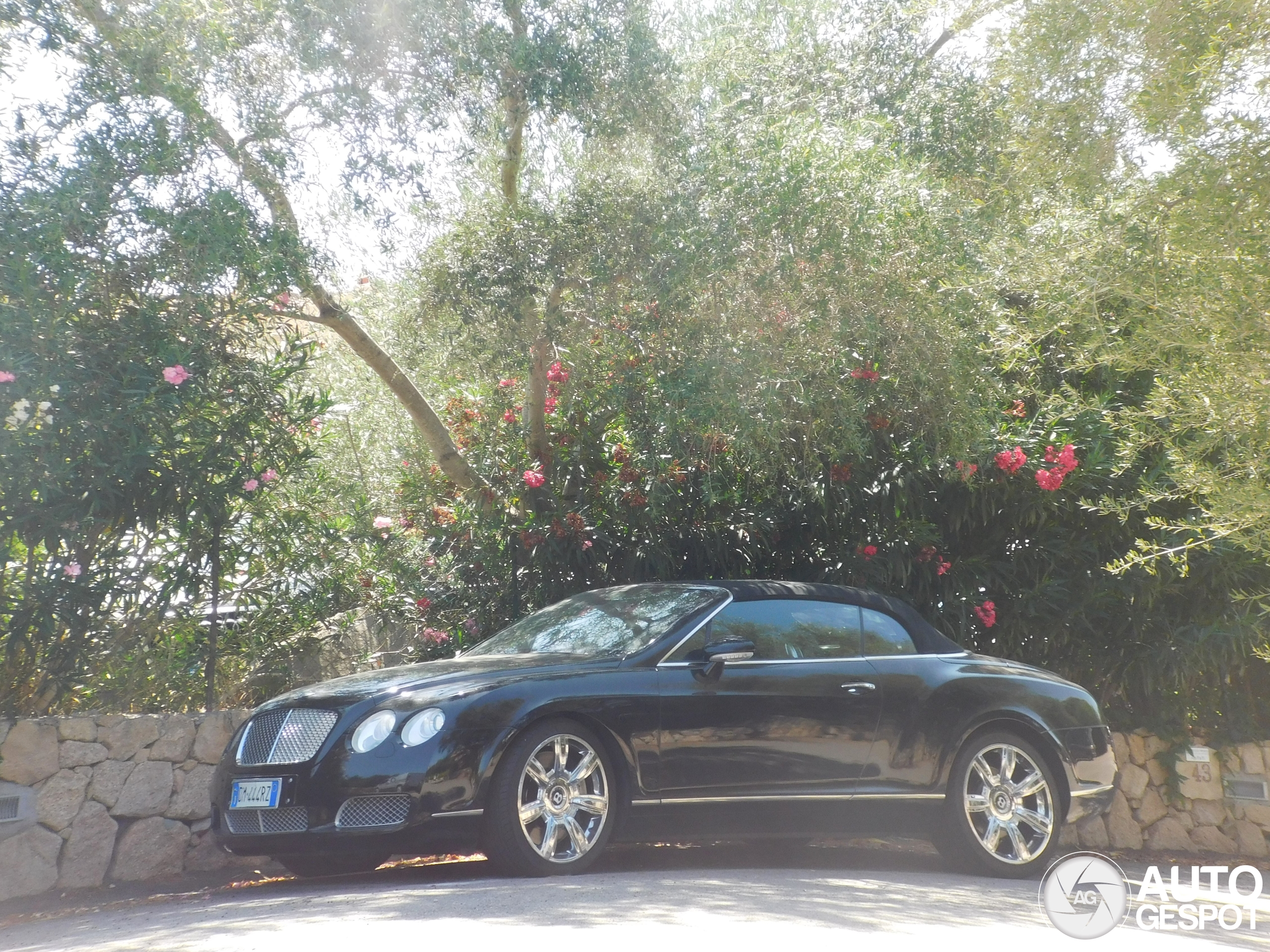 Bentley Continental GTC