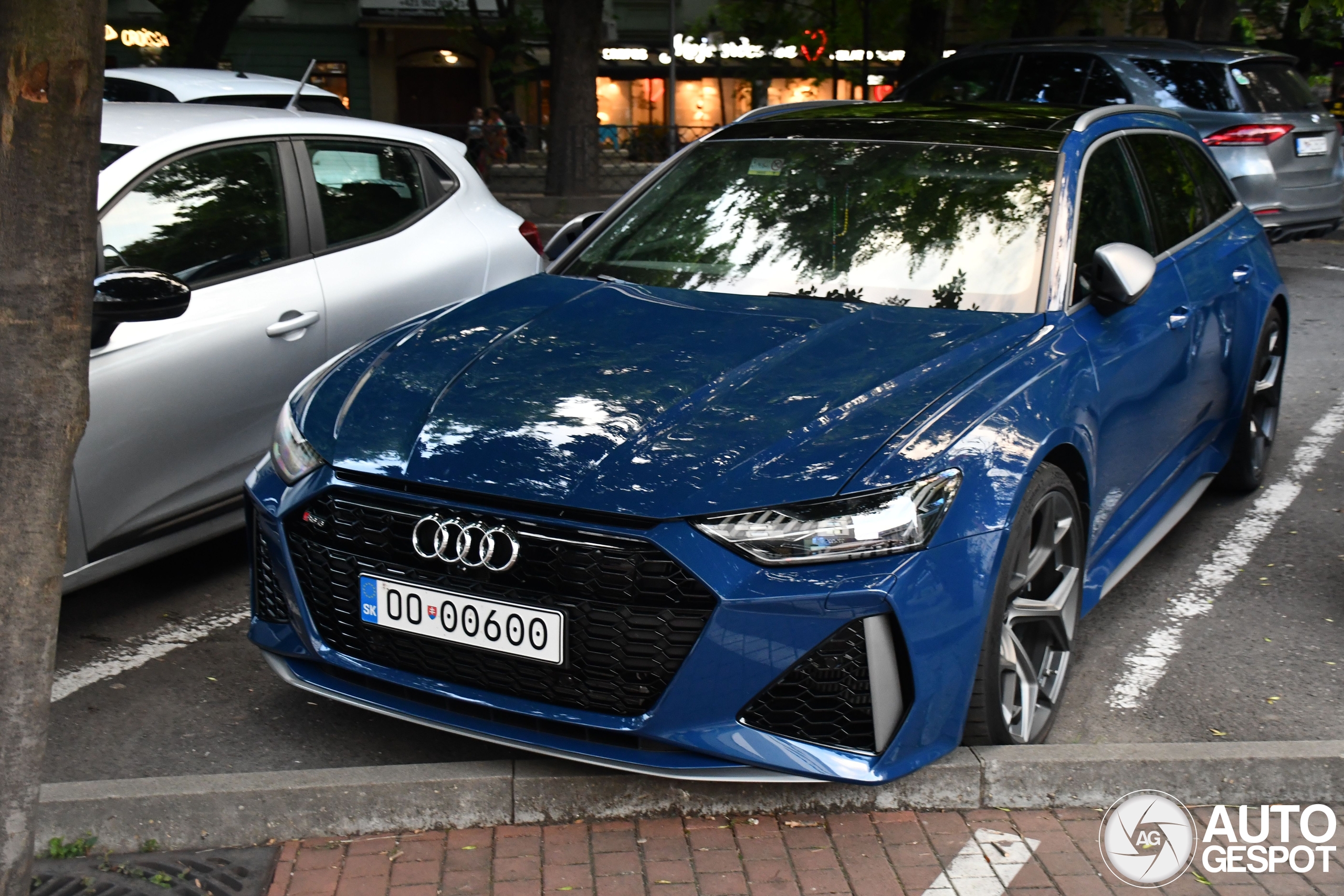 Audi RS6 Avant C8
