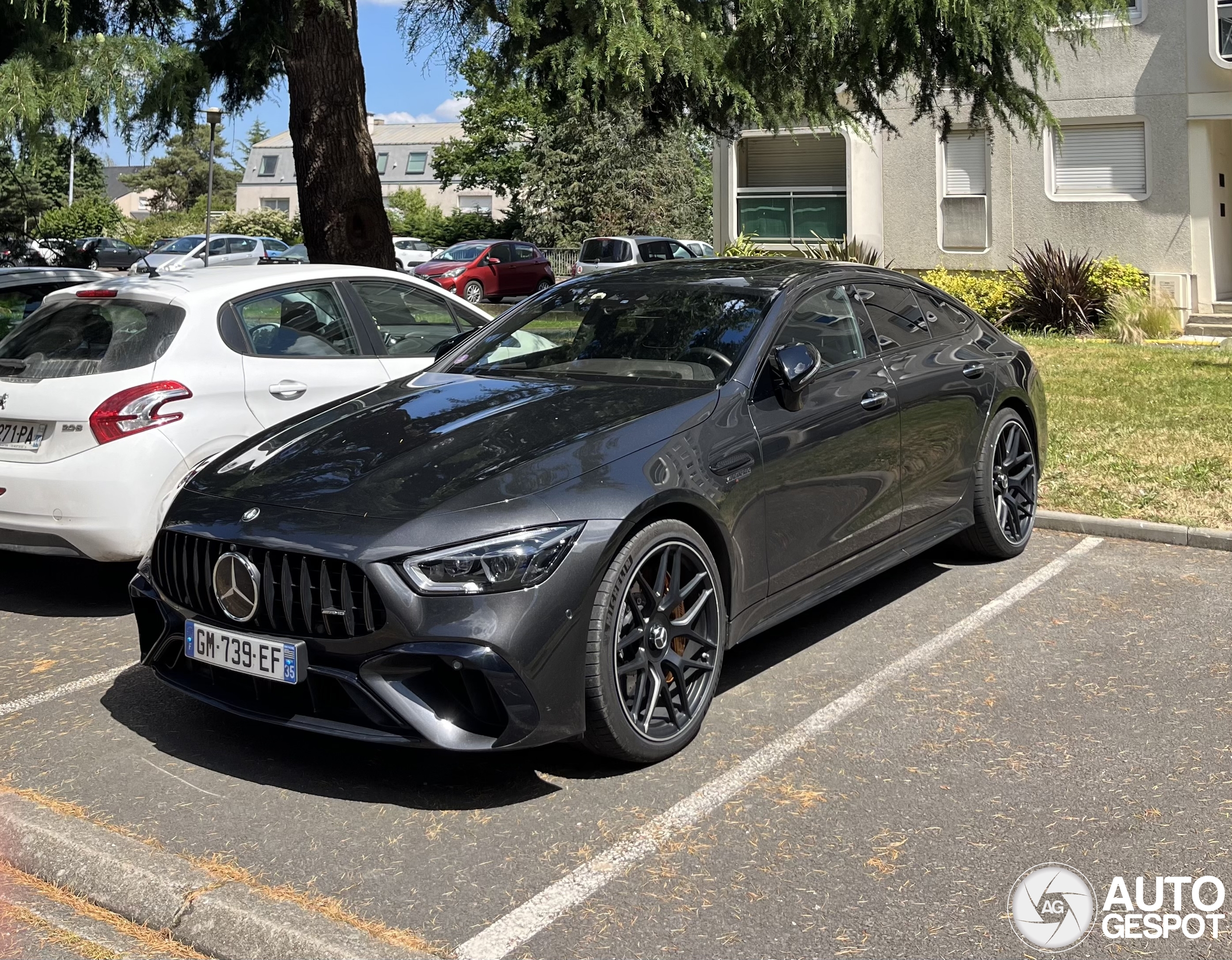 Mercedes-AMG GT 63 S E Performance X290