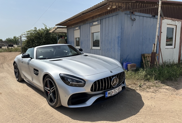 Mercedes-AMG GT C Roadster R190 2019