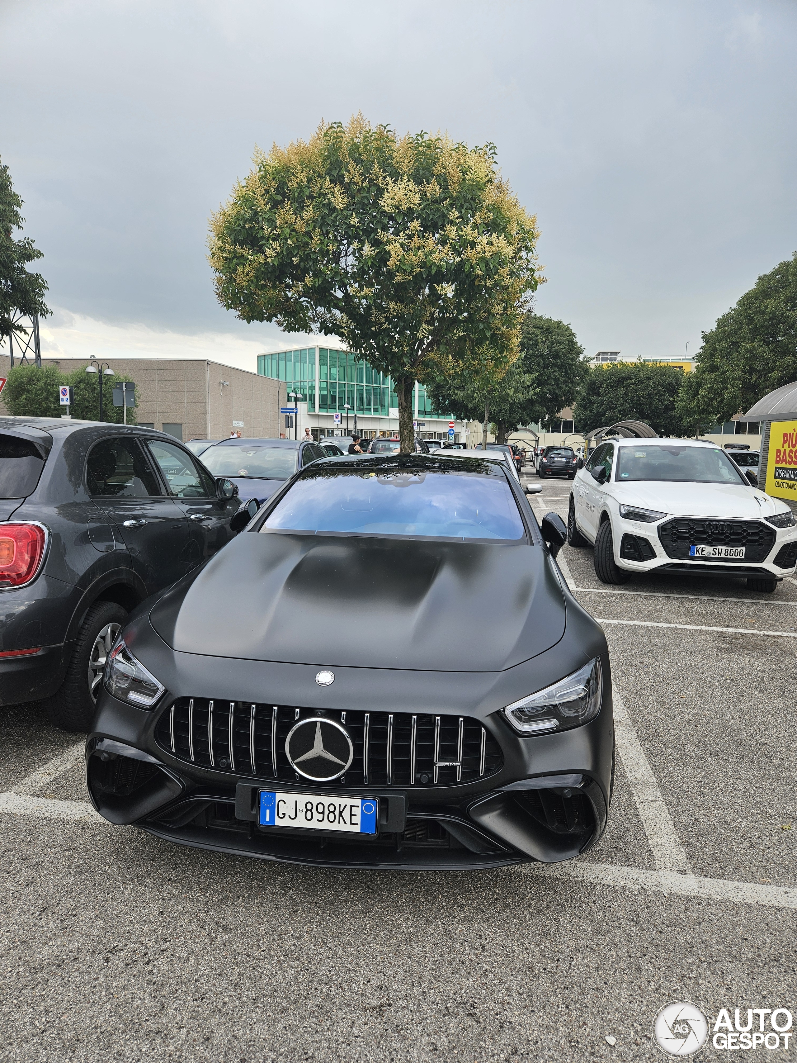 Mercedes-AMG GT 63 S E Performance X290