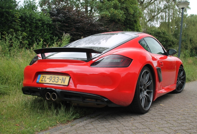 Porsche 987 Cayman S