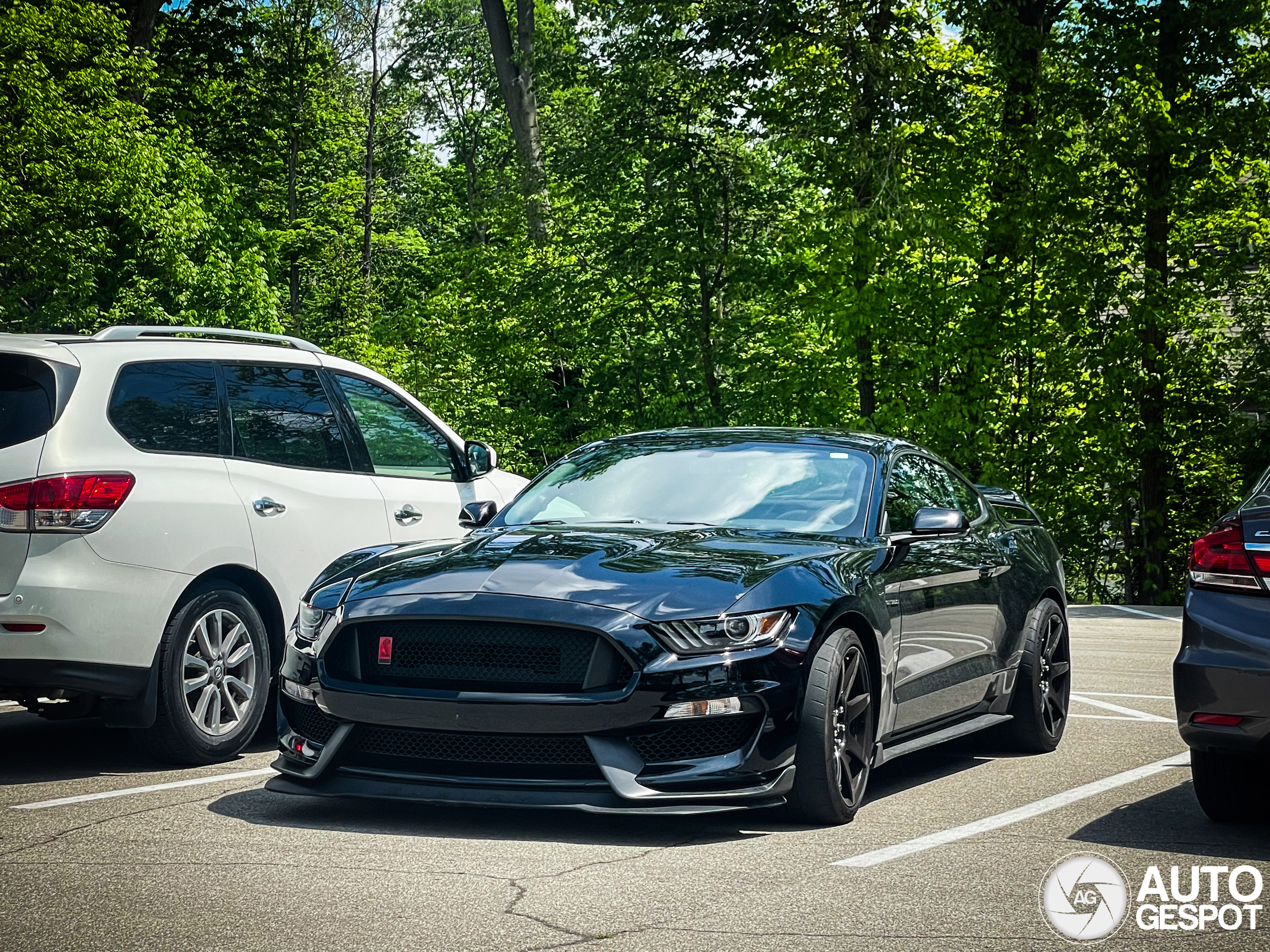 Ford Mustang Shelby GT350R 2015