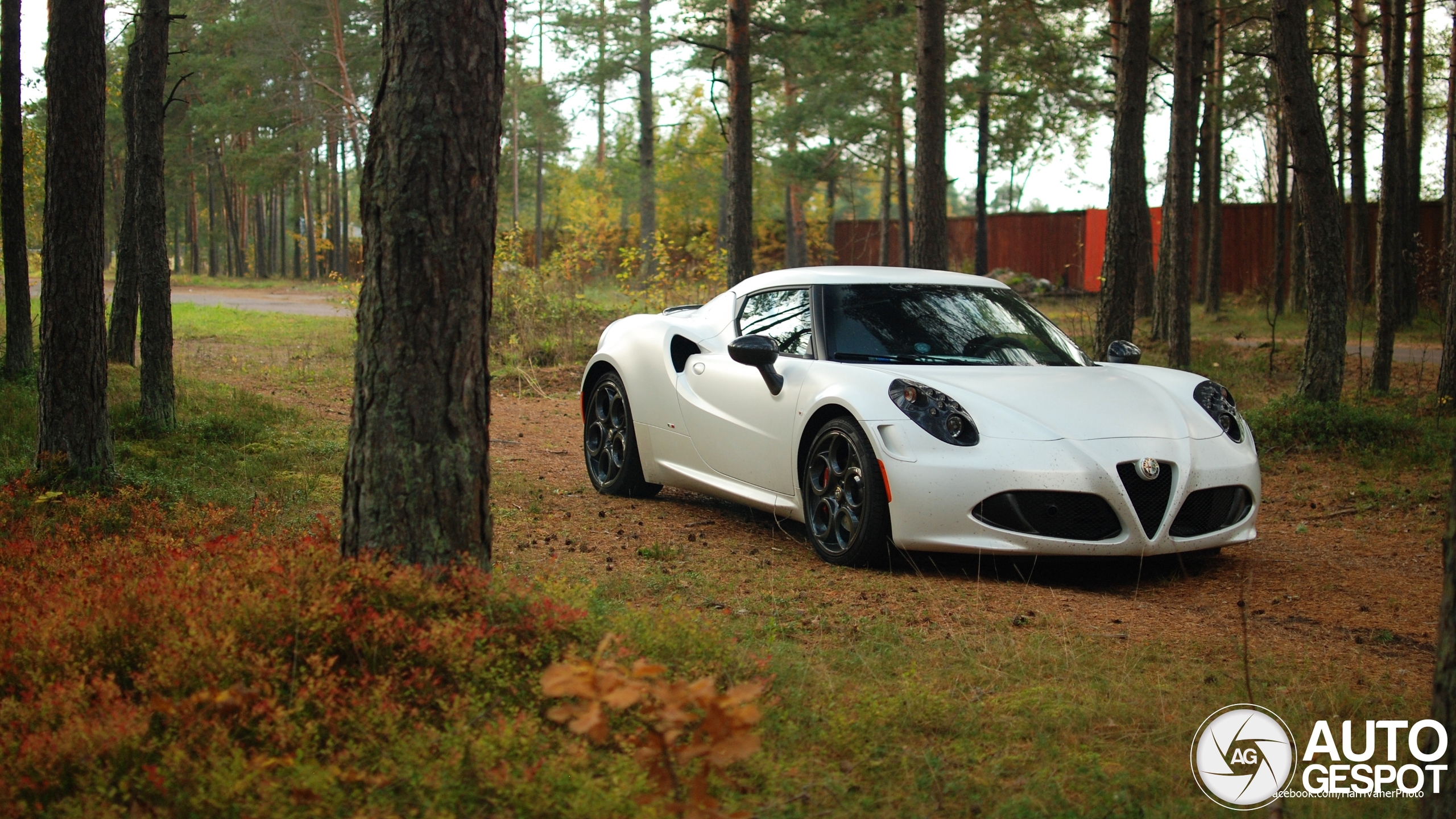 Alfa Romeo 4C Launch Edition