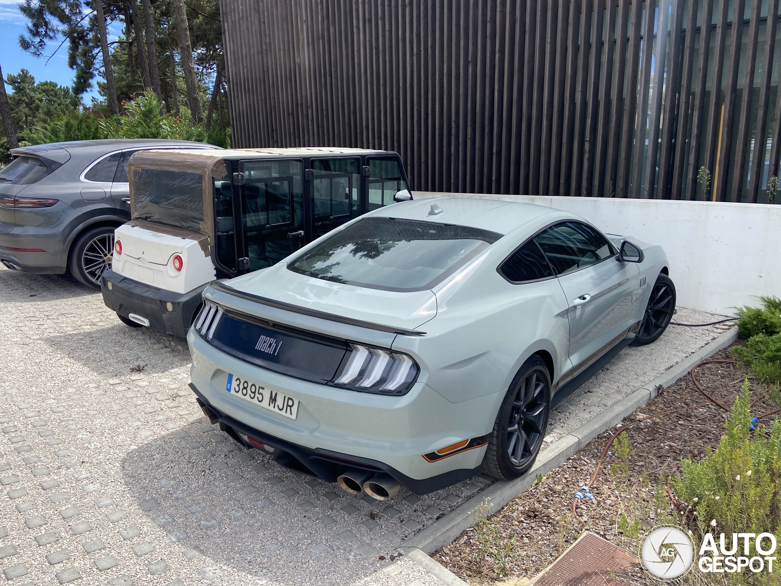 Ford Mustang Mach 1 2021