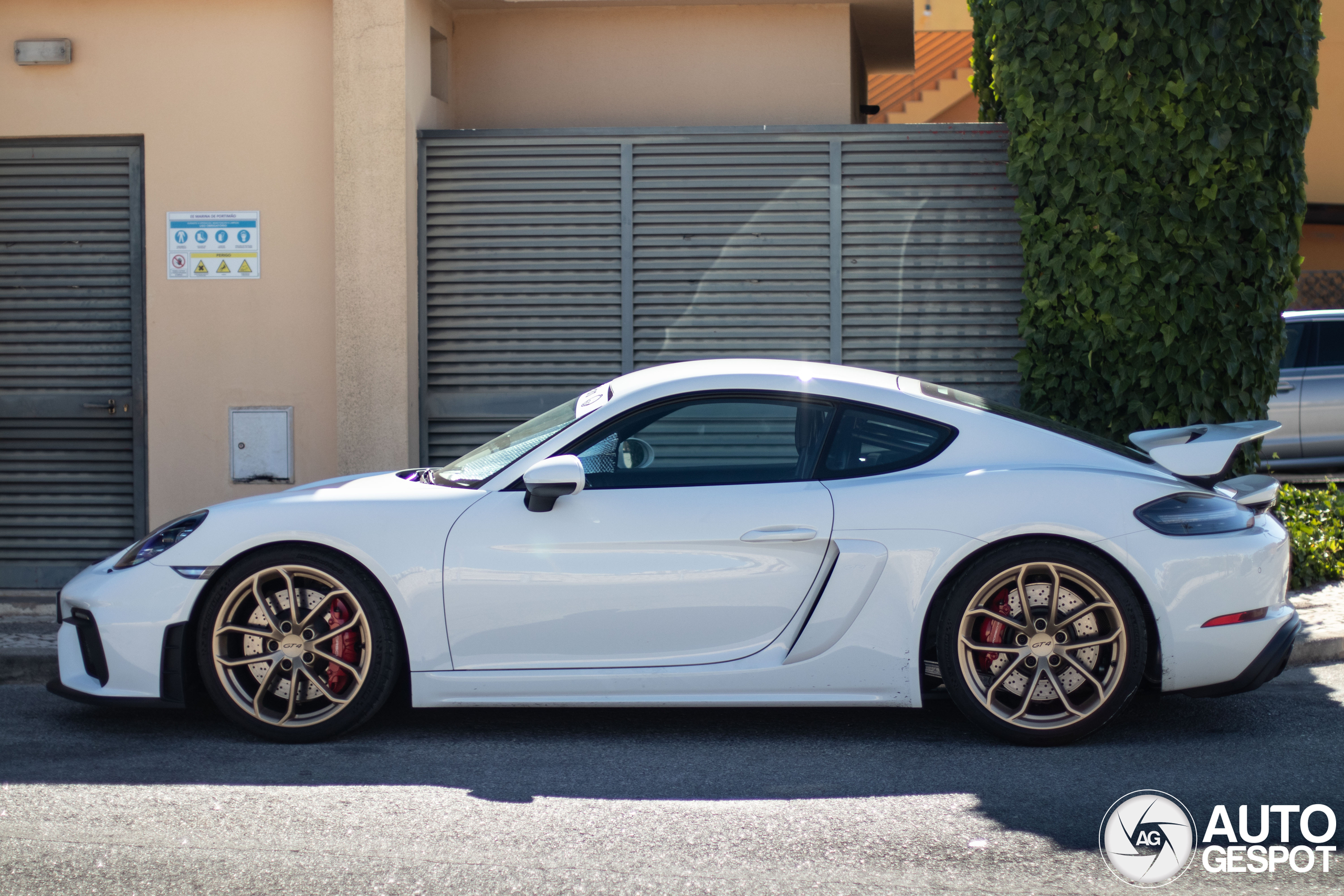 Porsche 718 Cayman GT4