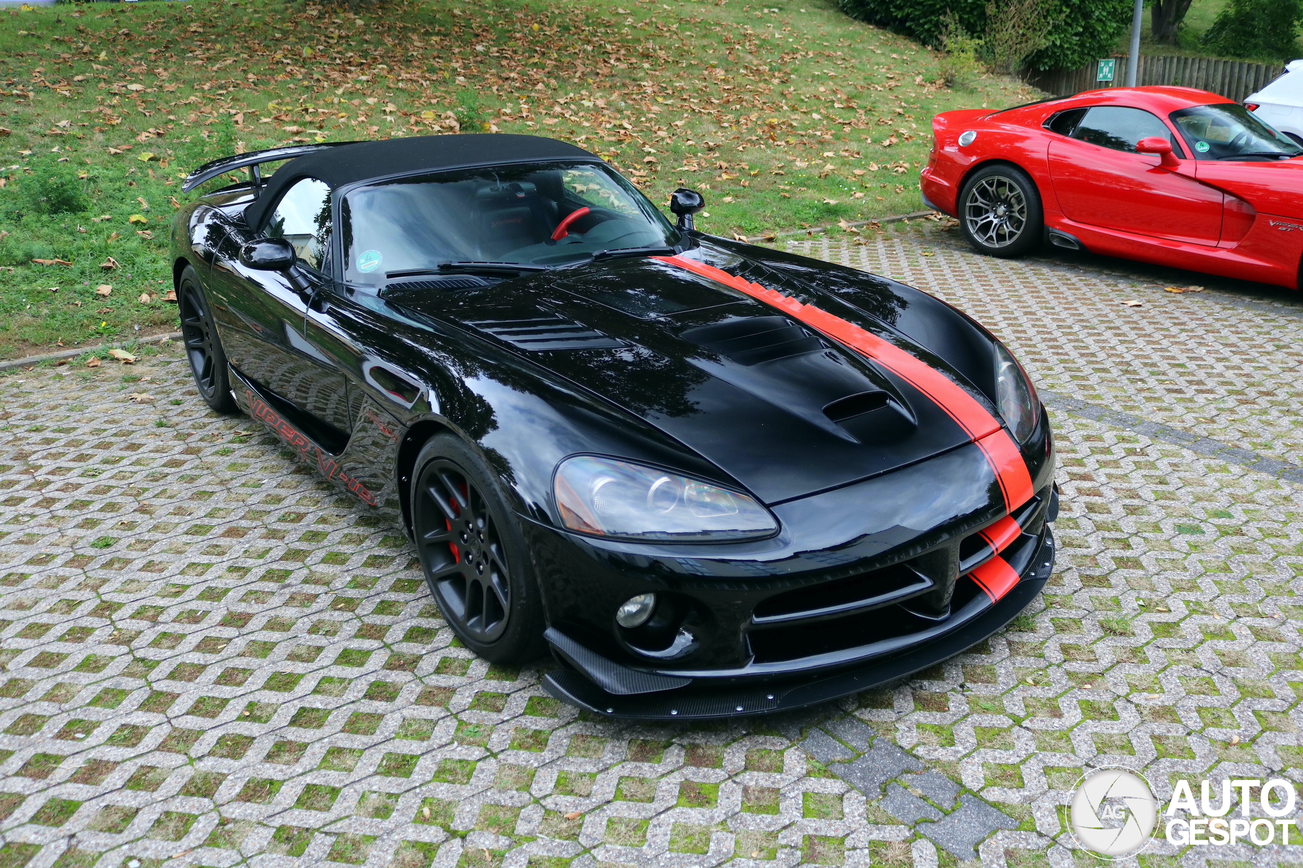 Dodge Viper SRT-10 Roadster Black Mamba Edition