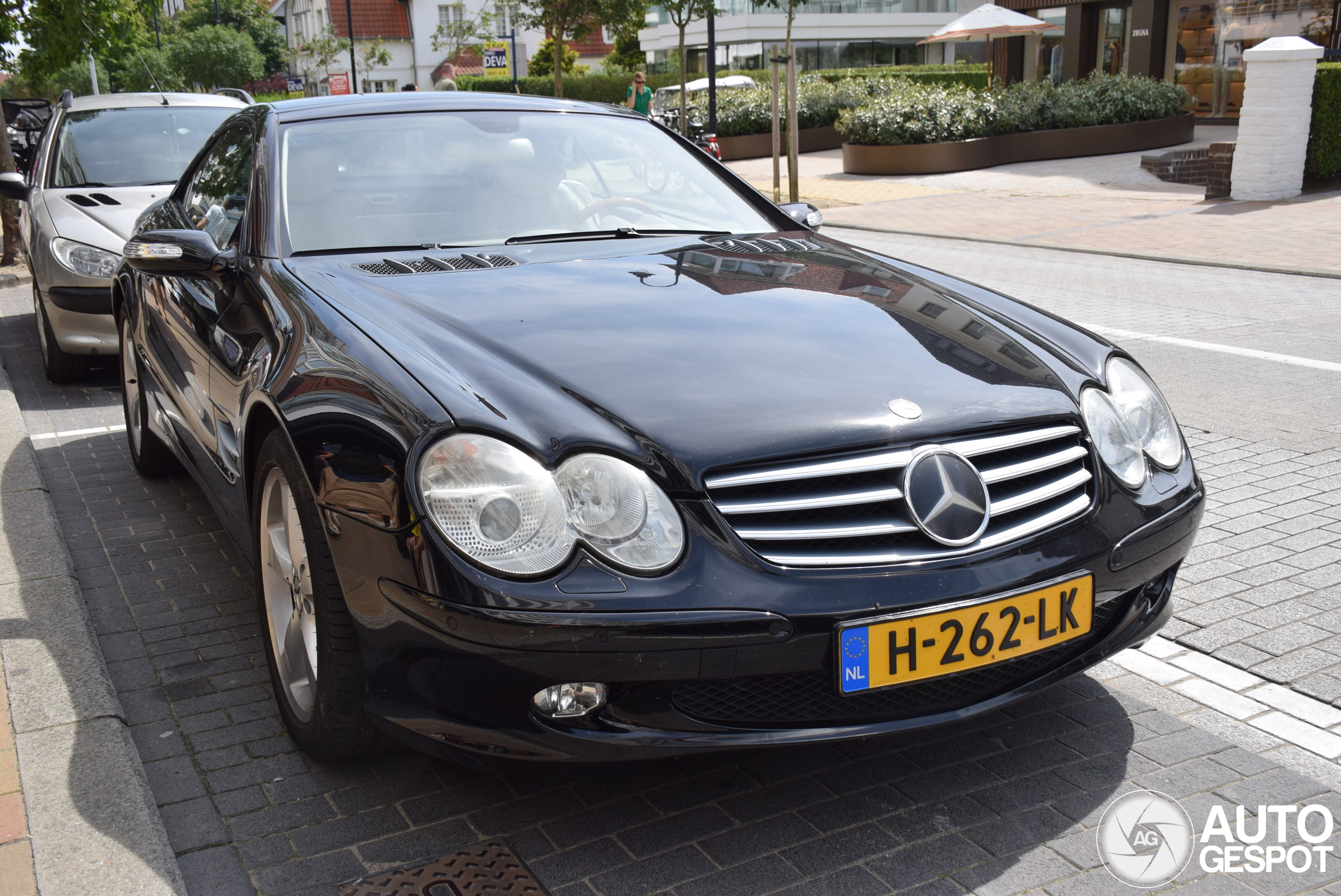 Mercedes-Benz SL 600 R230