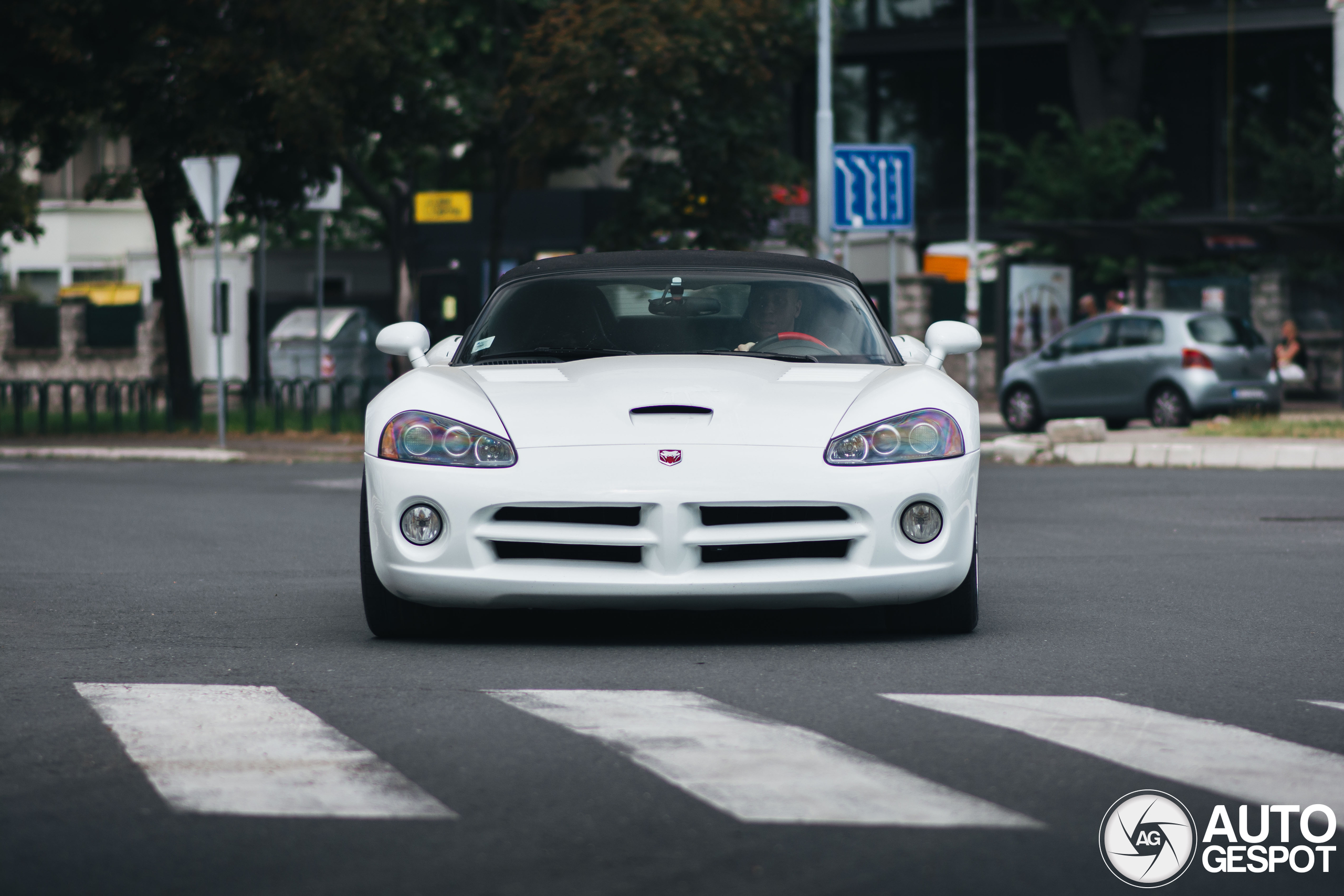 Dodge Viper SRT-10 Roadster White Mamba Edition