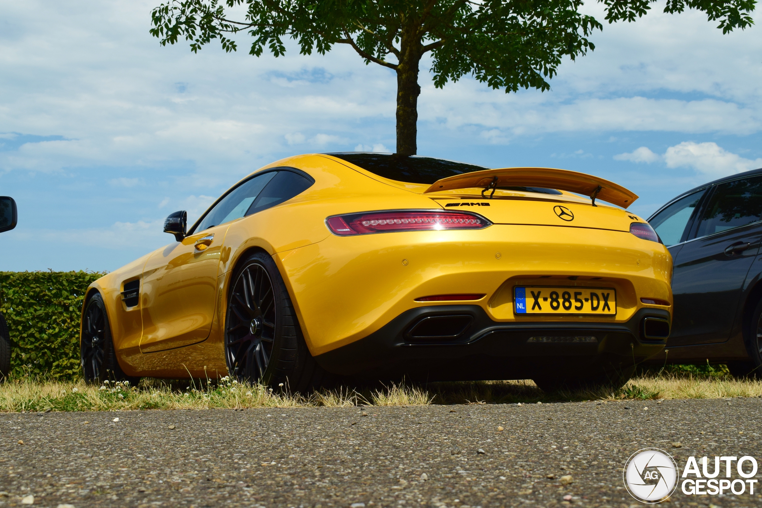 Mercedes-AMG GT C190 2017