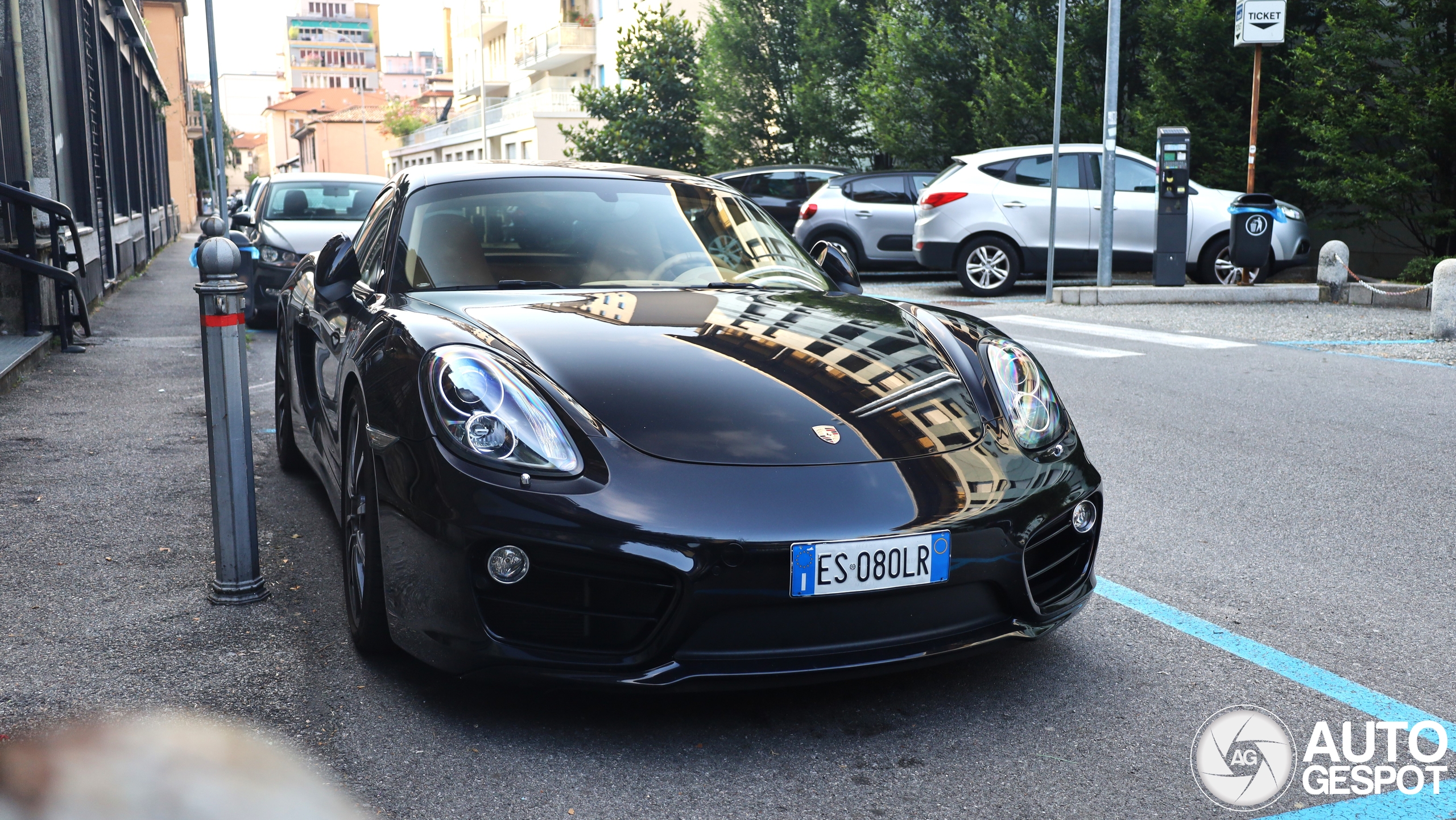 Porsche 981 Cayman S