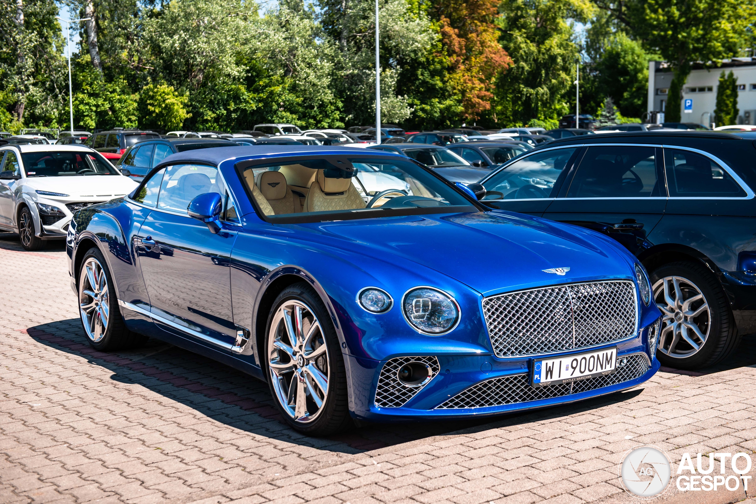 Bentley Continental GTC 2019