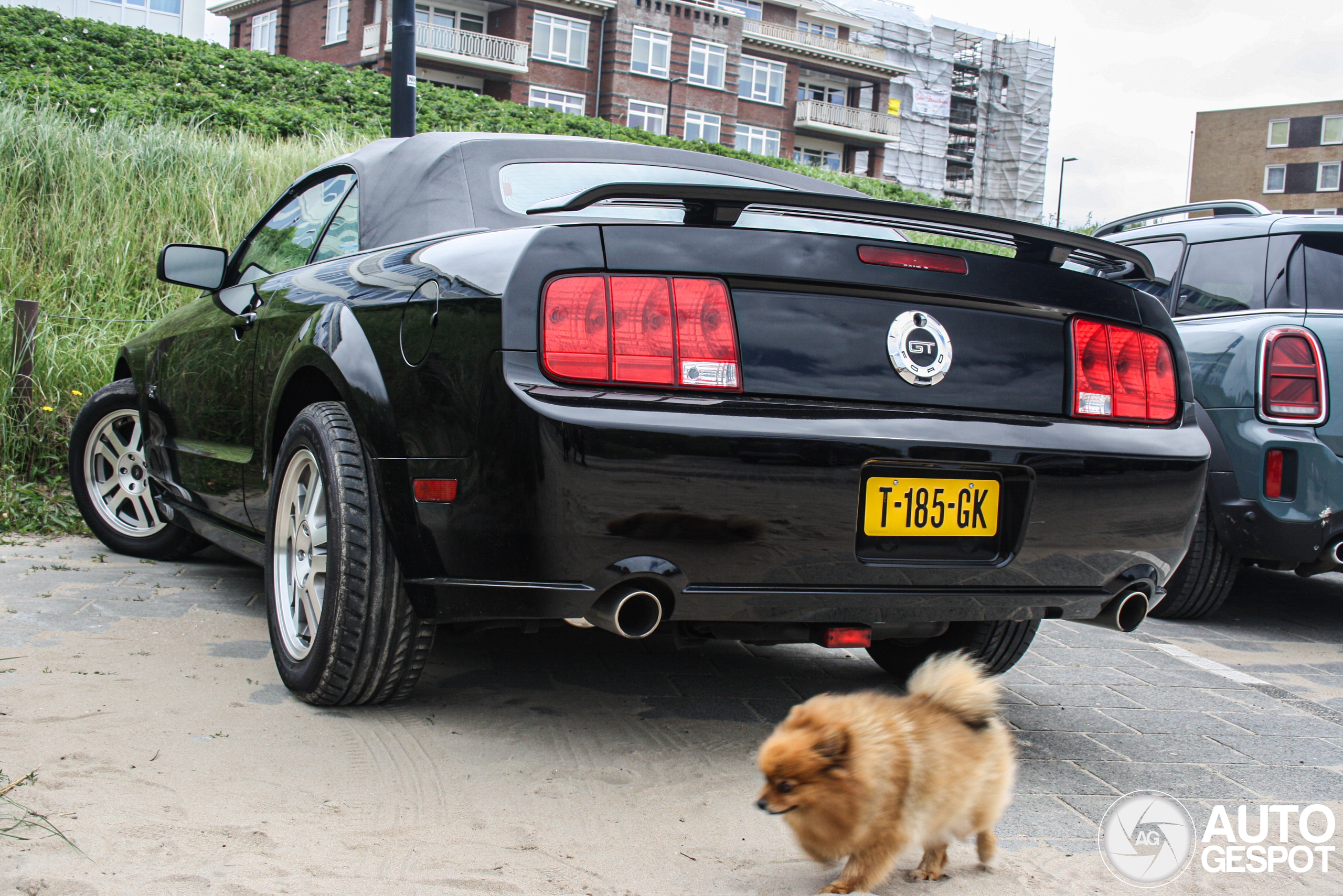 Ford Mustang GT Convertible