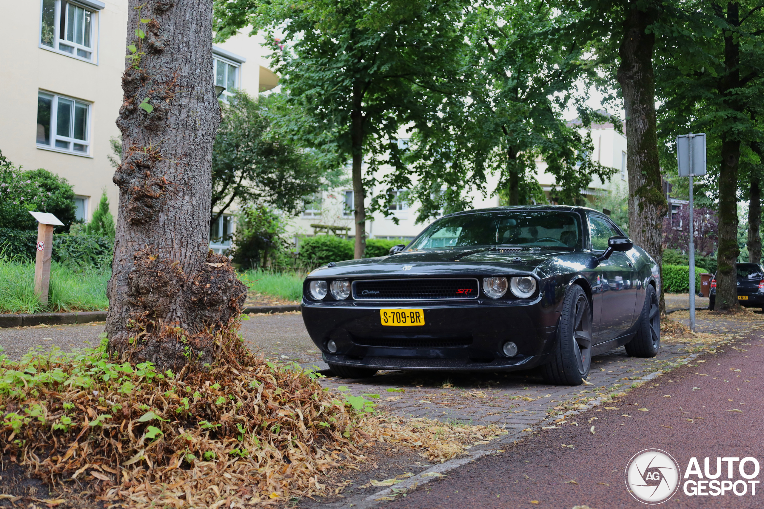 Dodge Challenger SRT-8