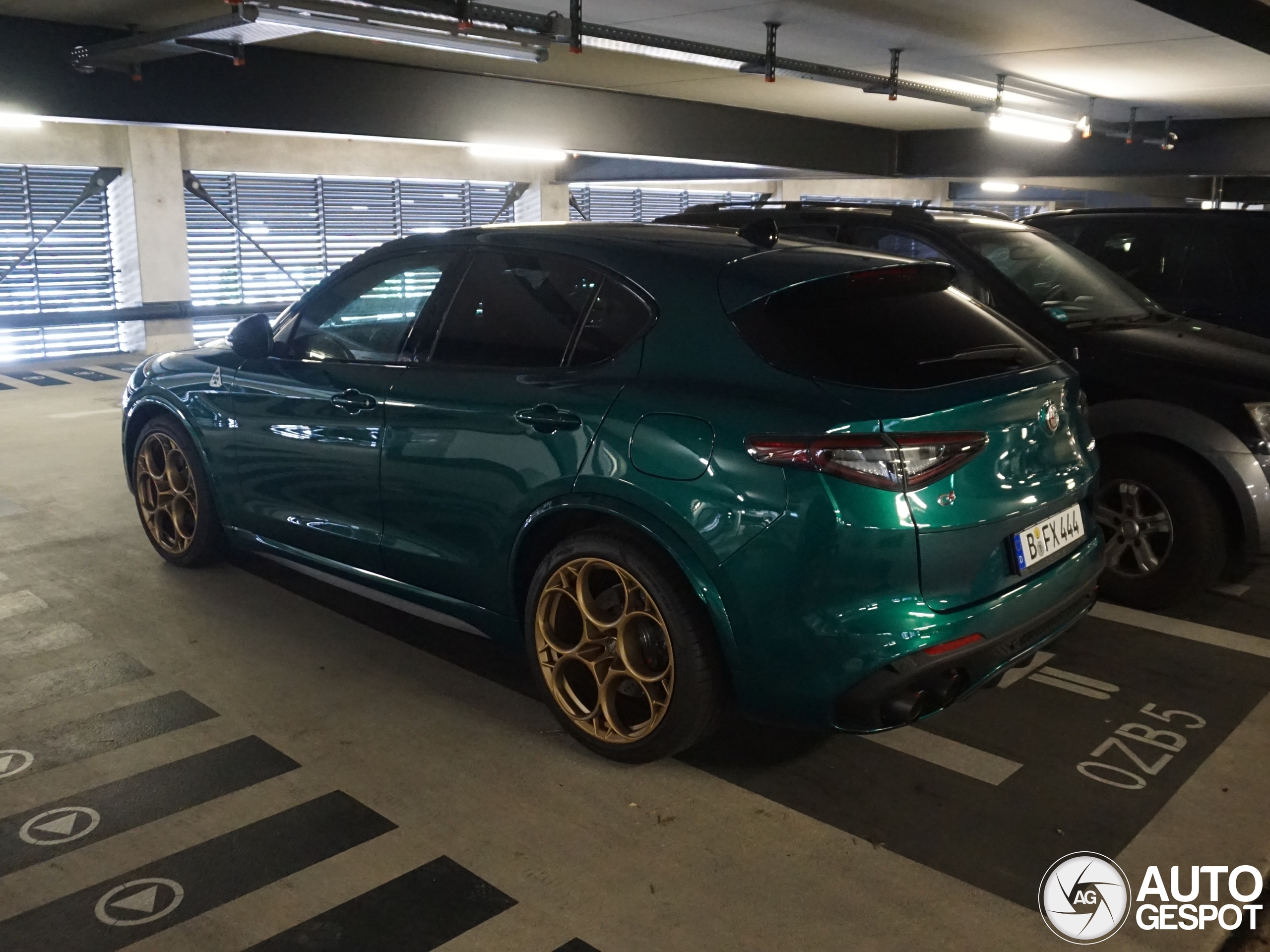 Alfa Stelvio Quadrifoglio in het groen