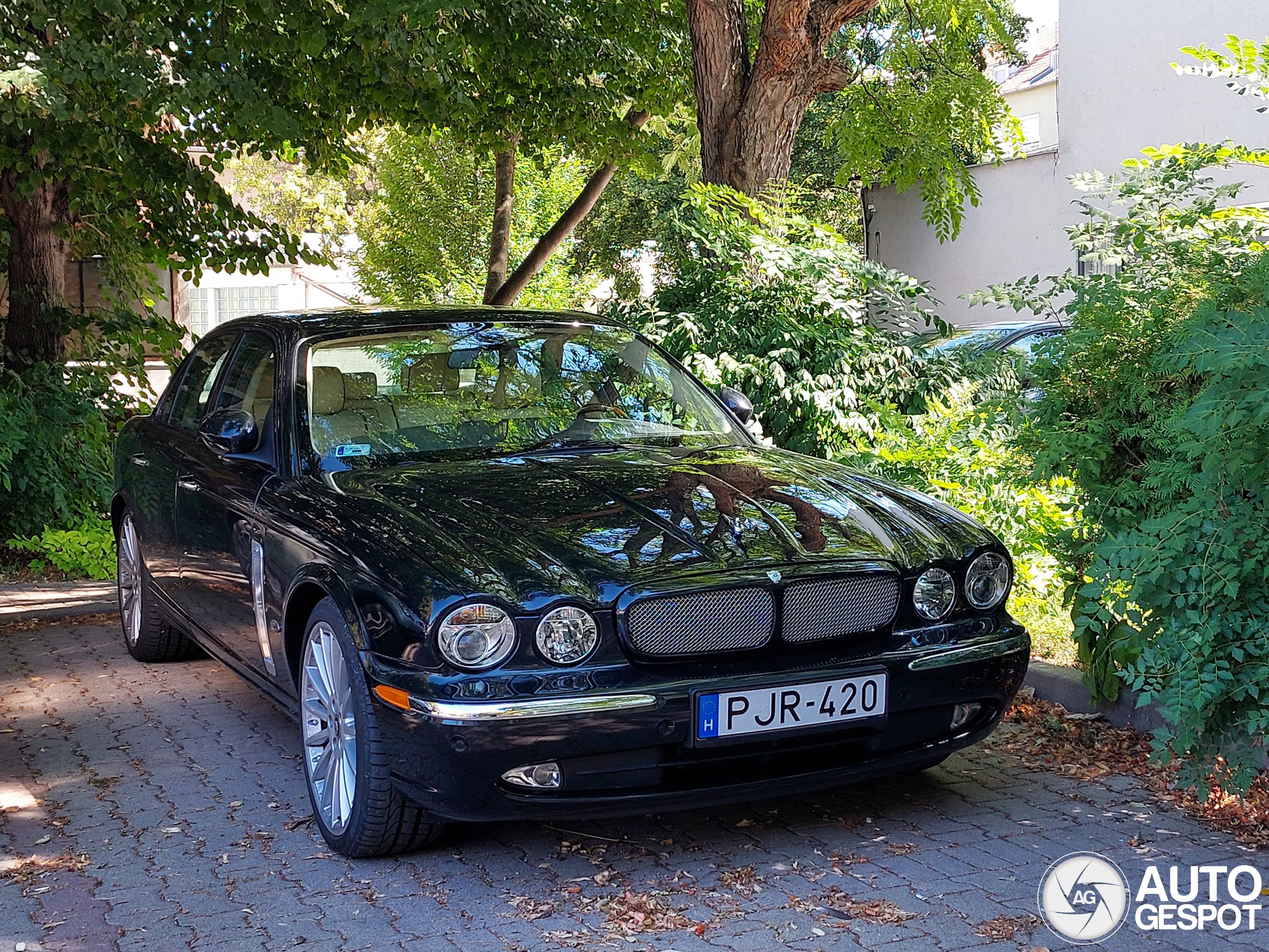 Jaguar XJR Portfolio