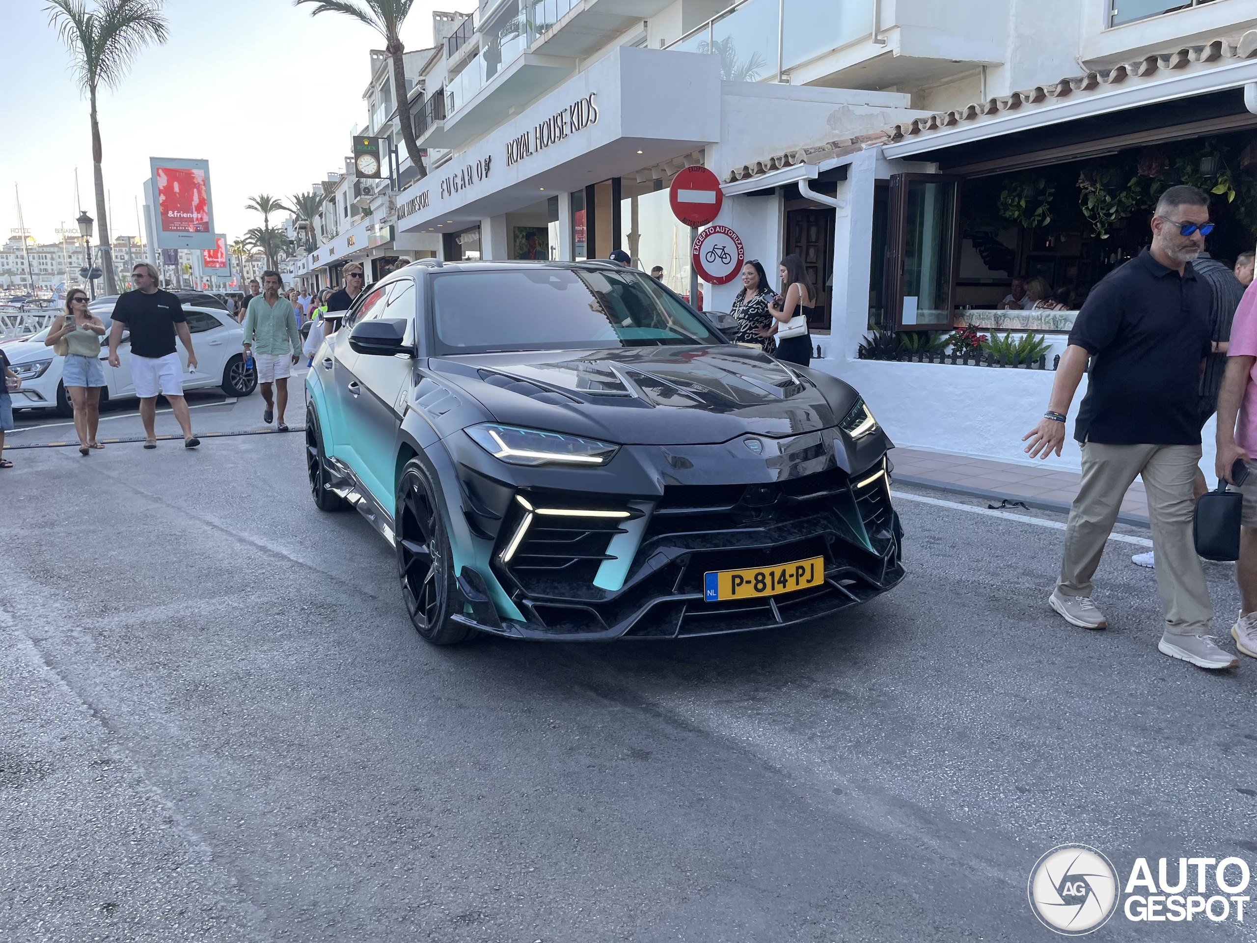 Lamborghini Urus Mansory Venatus S