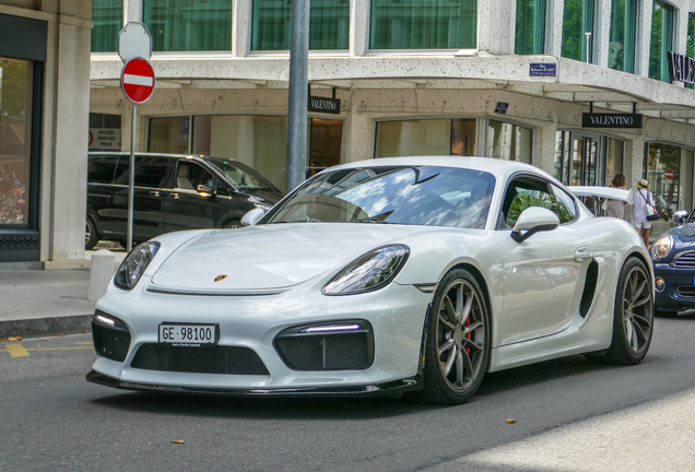 Porsche 981 Cayman GT4