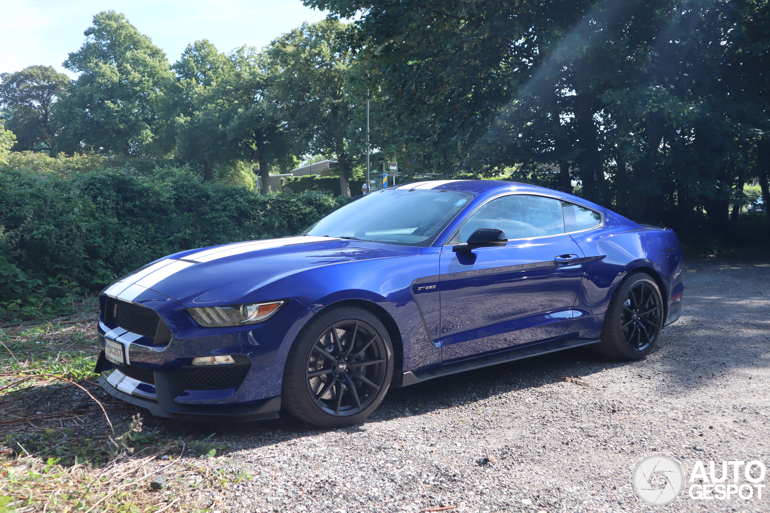 Ford Mustang Shelby GT350 2015