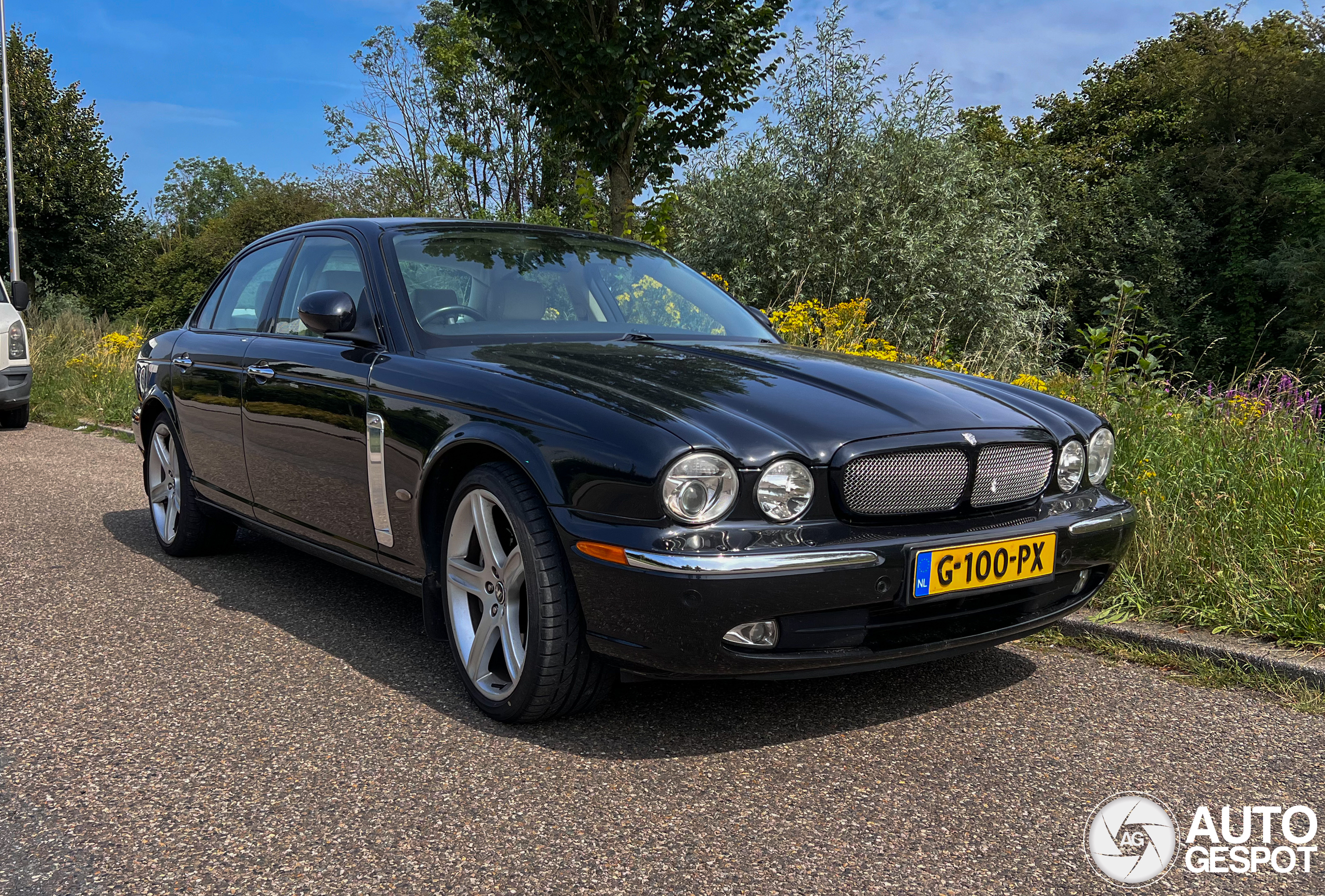 Jaguar XJR Portfolio