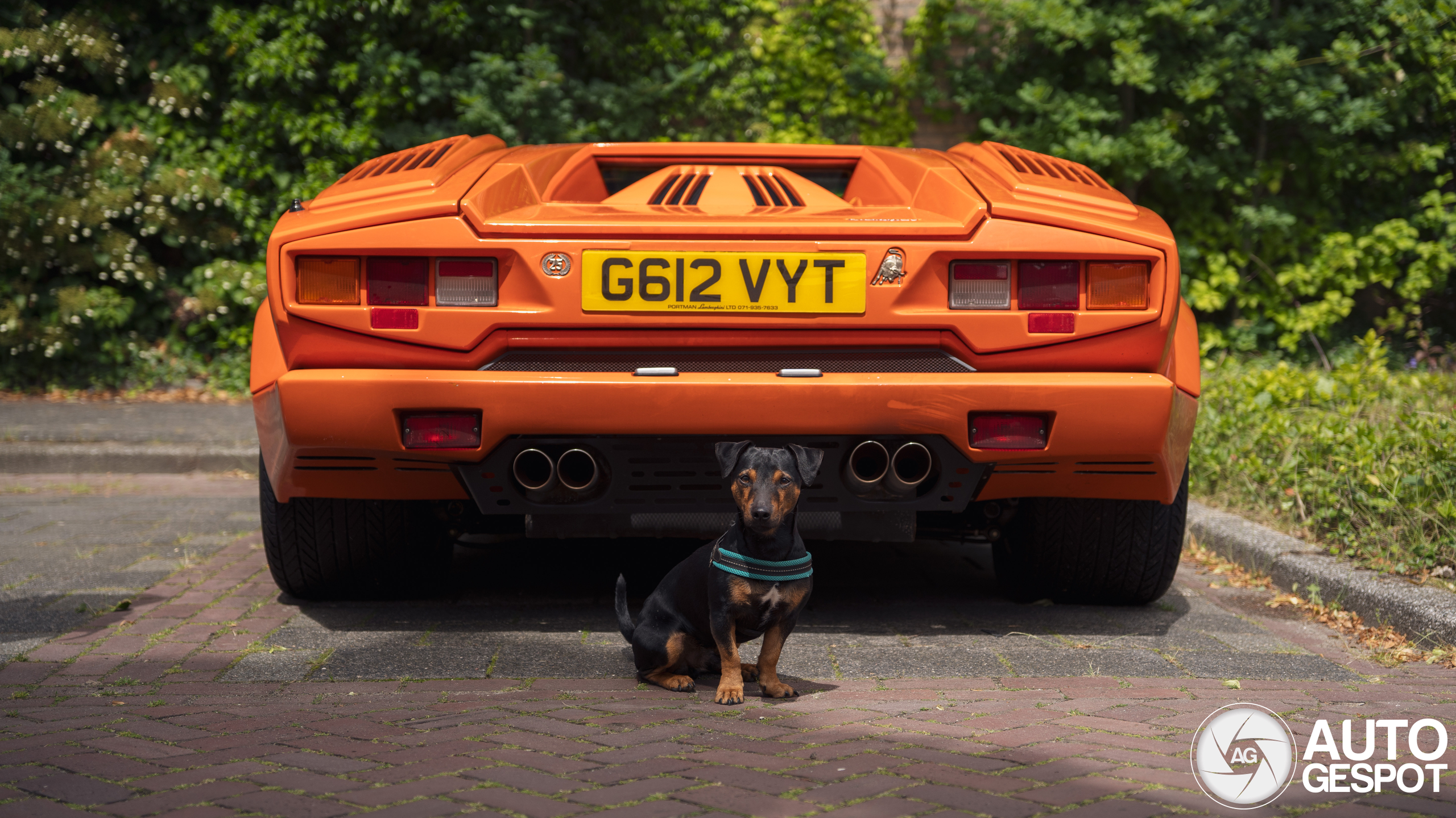 Lamborghini Countach 25th Anniversary