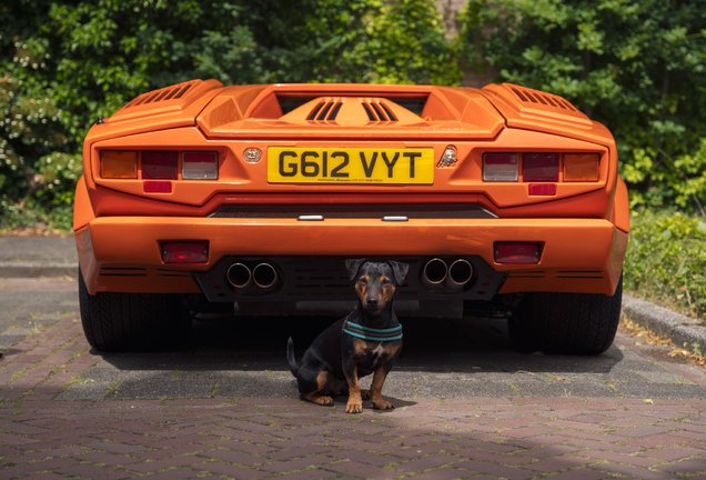 Lamborghini Countach 25th Anniversary