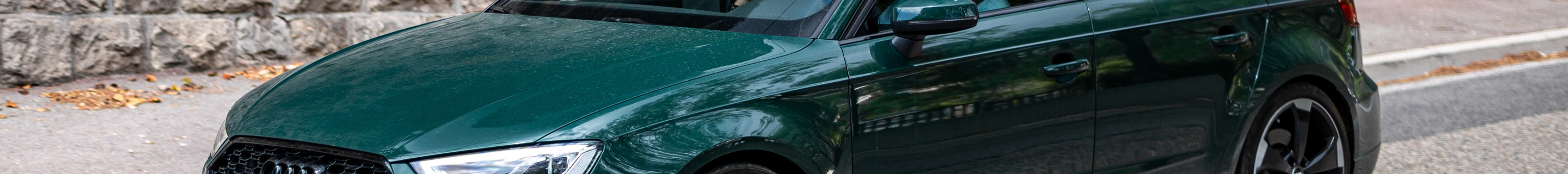 Audi RS3 Sportback 8V 2018