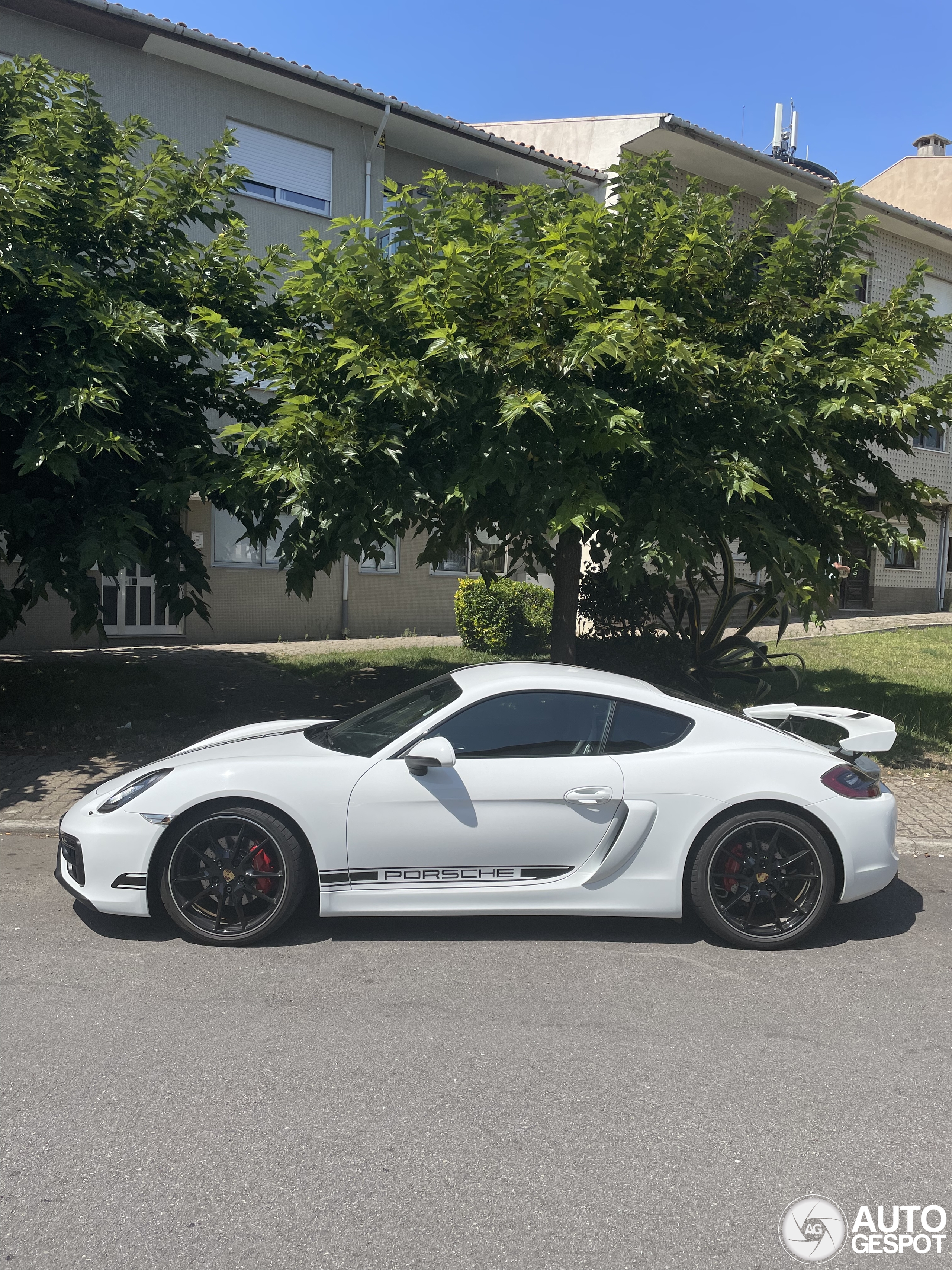 Porsche 981 Cayman GTS