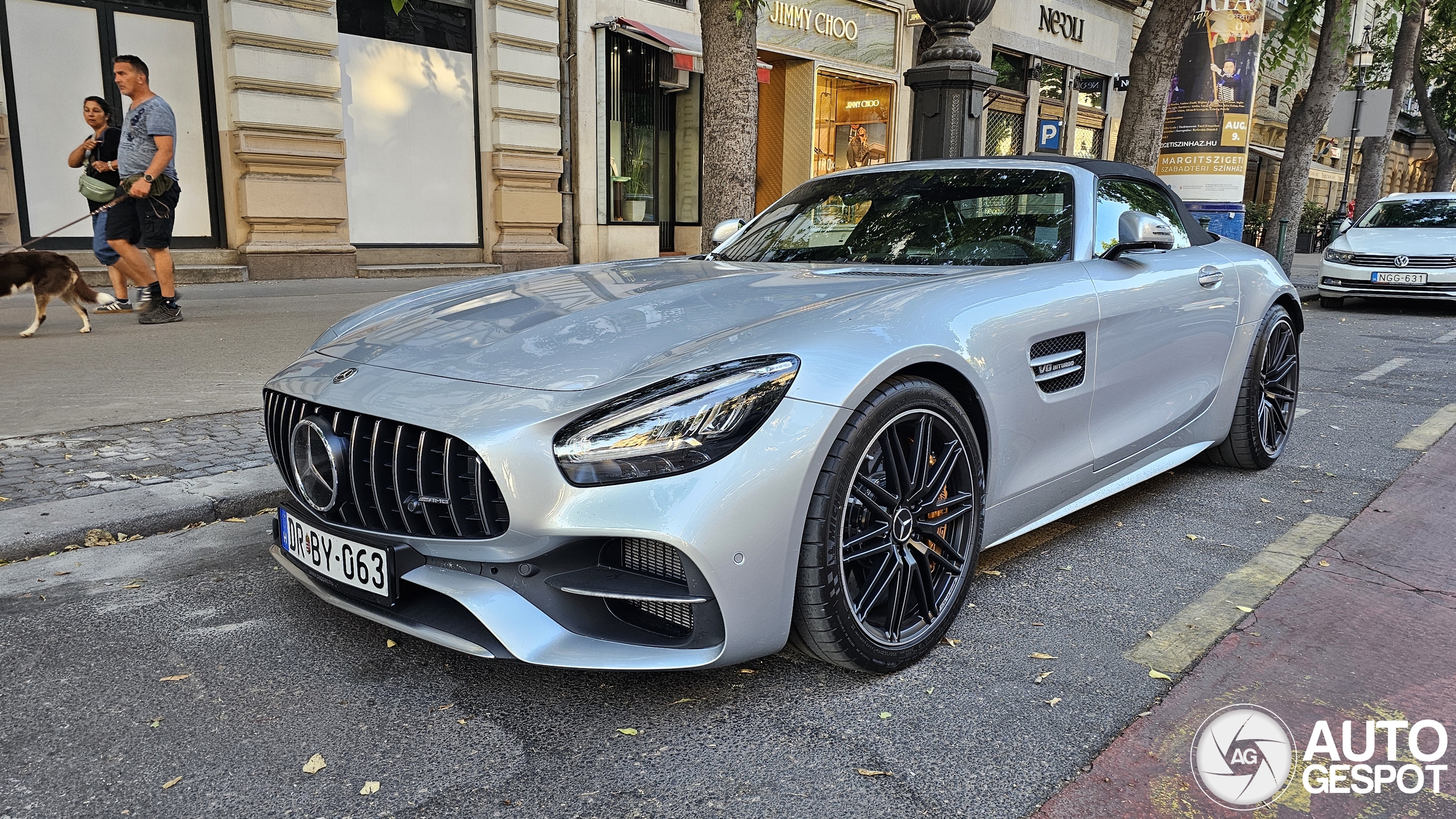 Mercedes-AMG GT C Roadster R190 2019