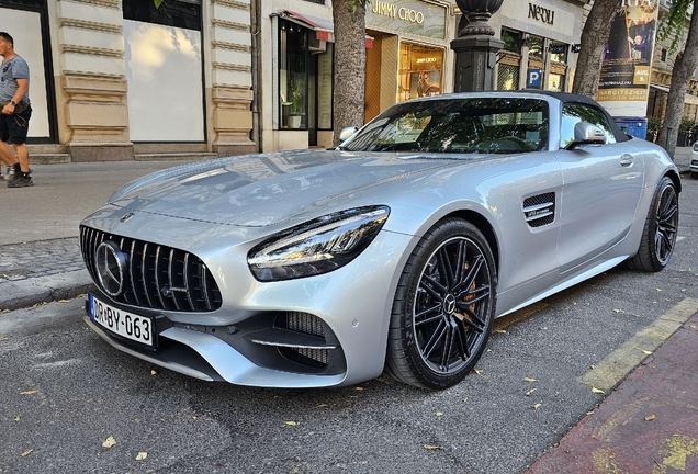 Mercedes-AMG GT C Roadster R190 2019