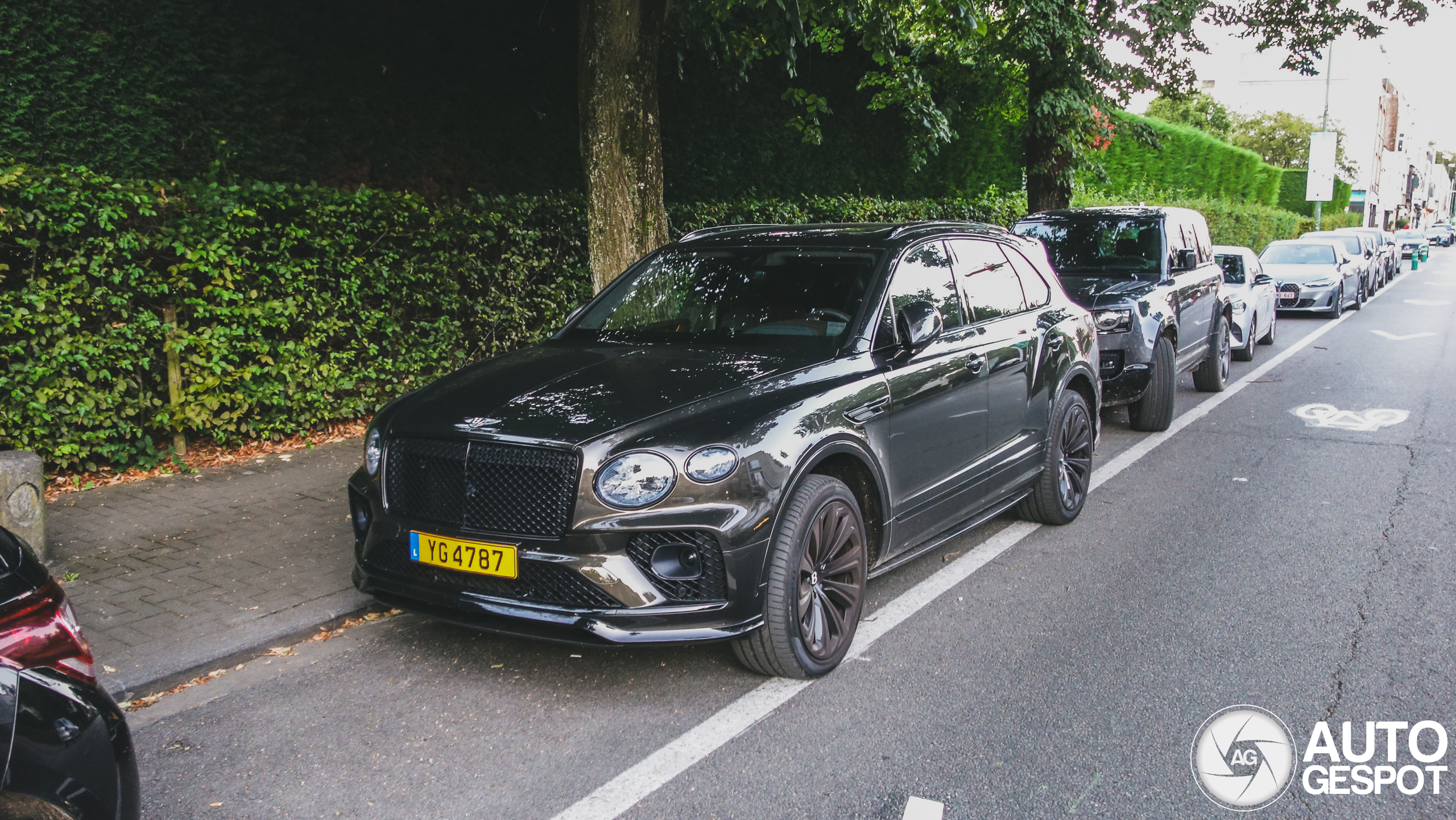 Bentley Bentayga V8 2021 Belgian Equestrian Collection