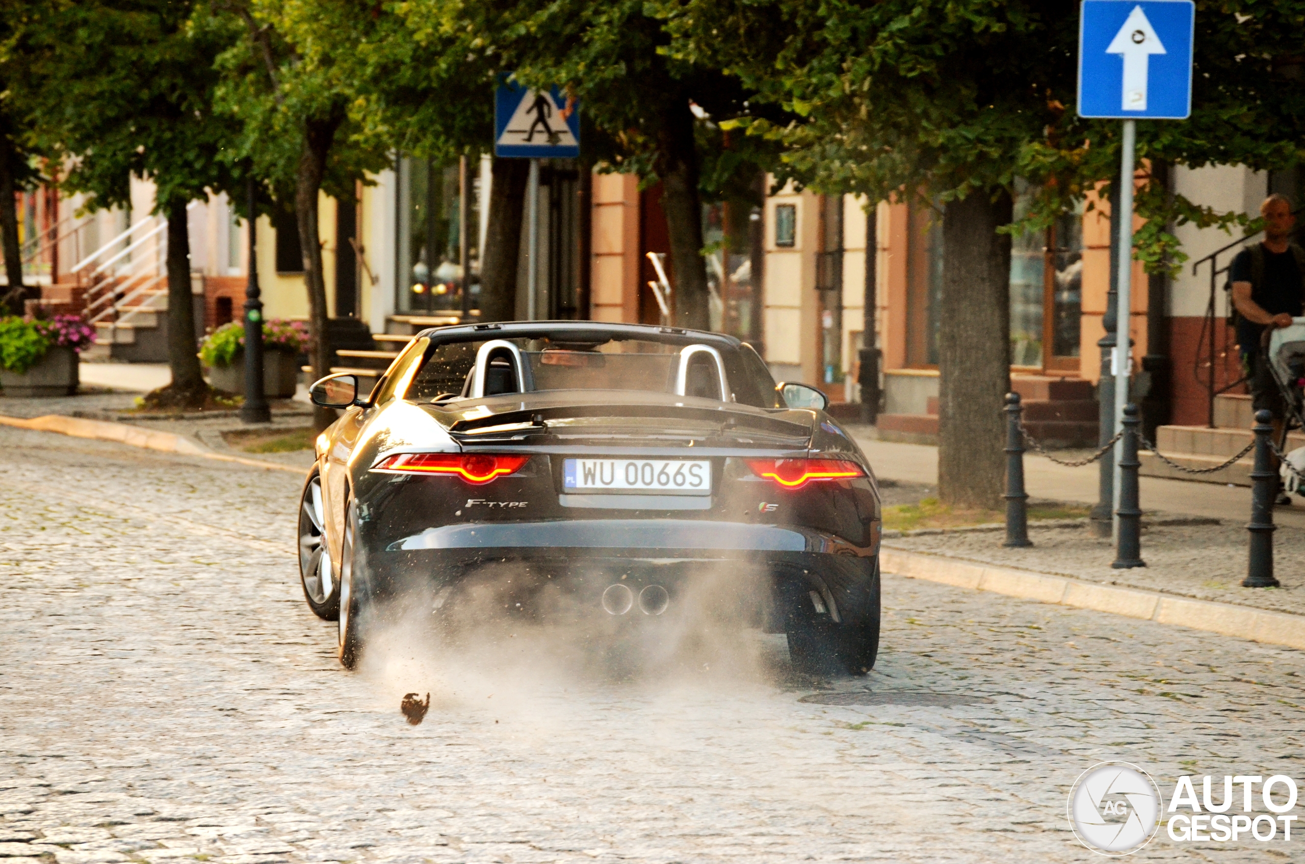 Jaguar F-TYPE S Convertible