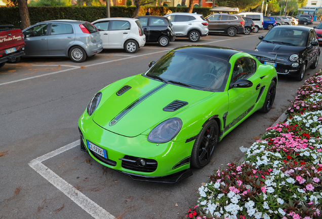 Porsche 987 Cayman S