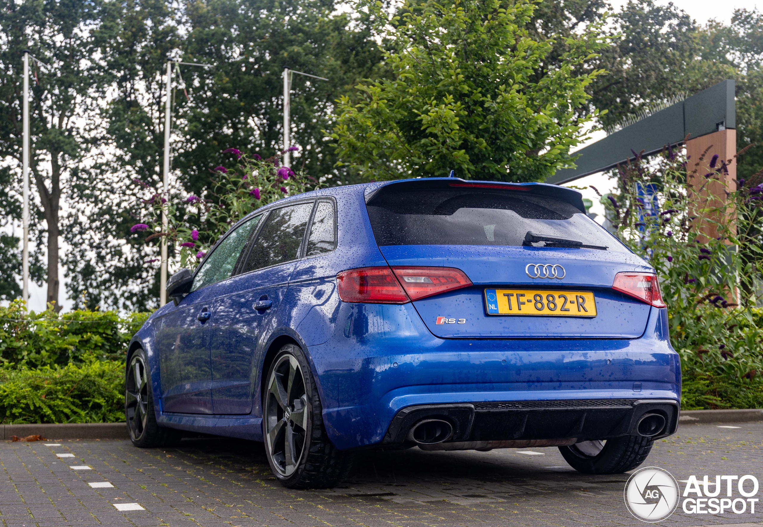 Audi RS3 Sportback 8V