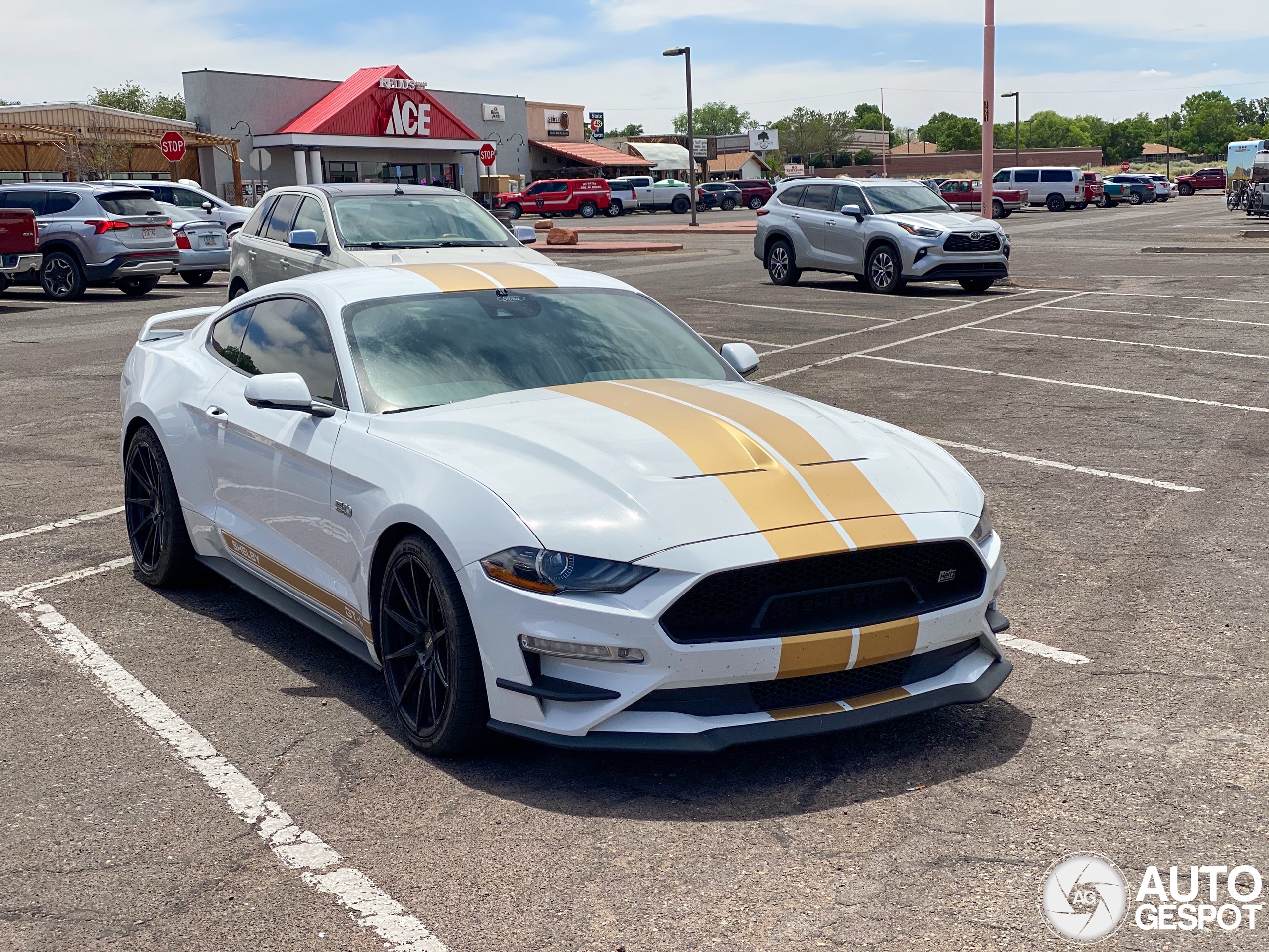 Ford Mustang Shelby GT-H 2018