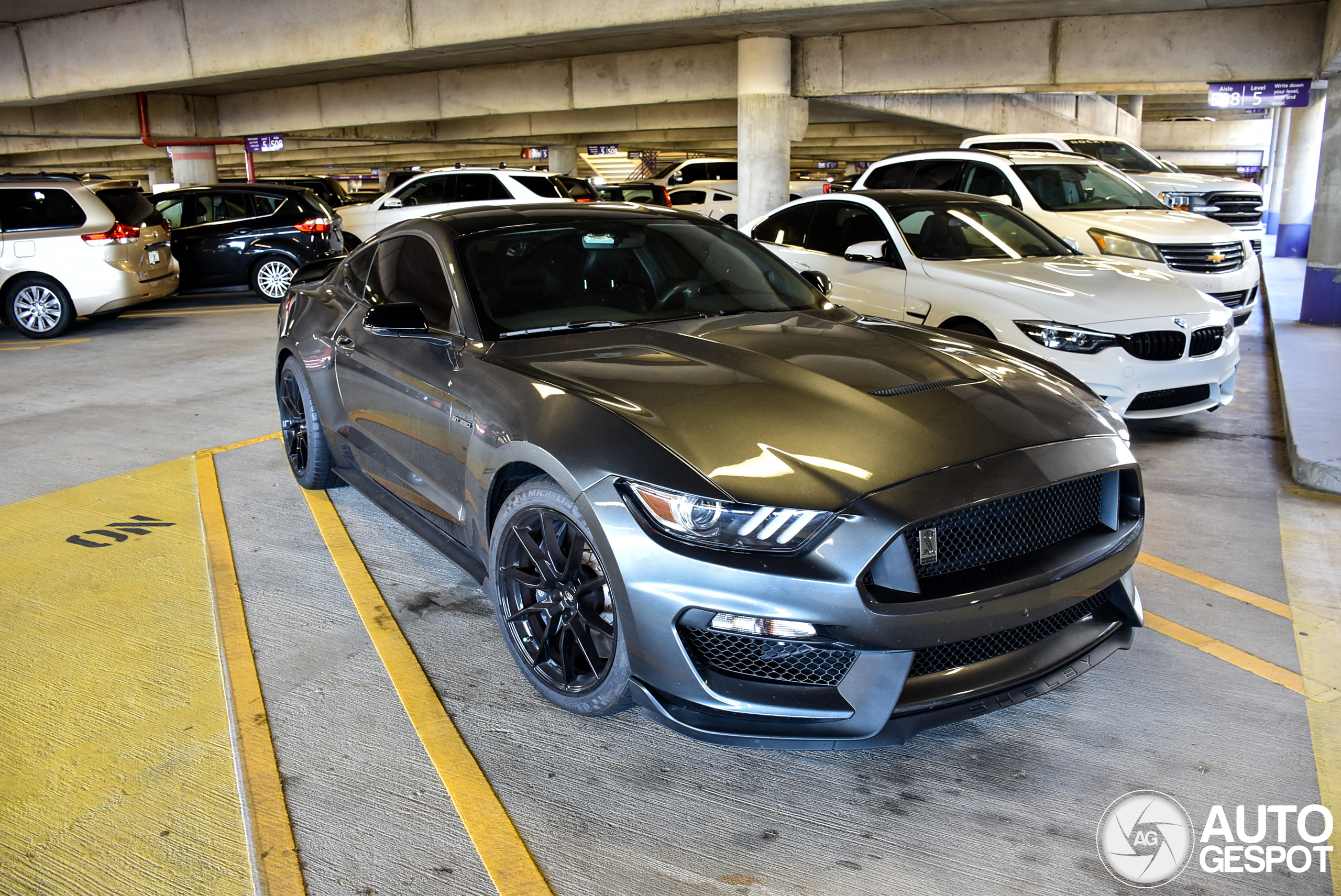 Ford Mustang Shelby GT350 2015