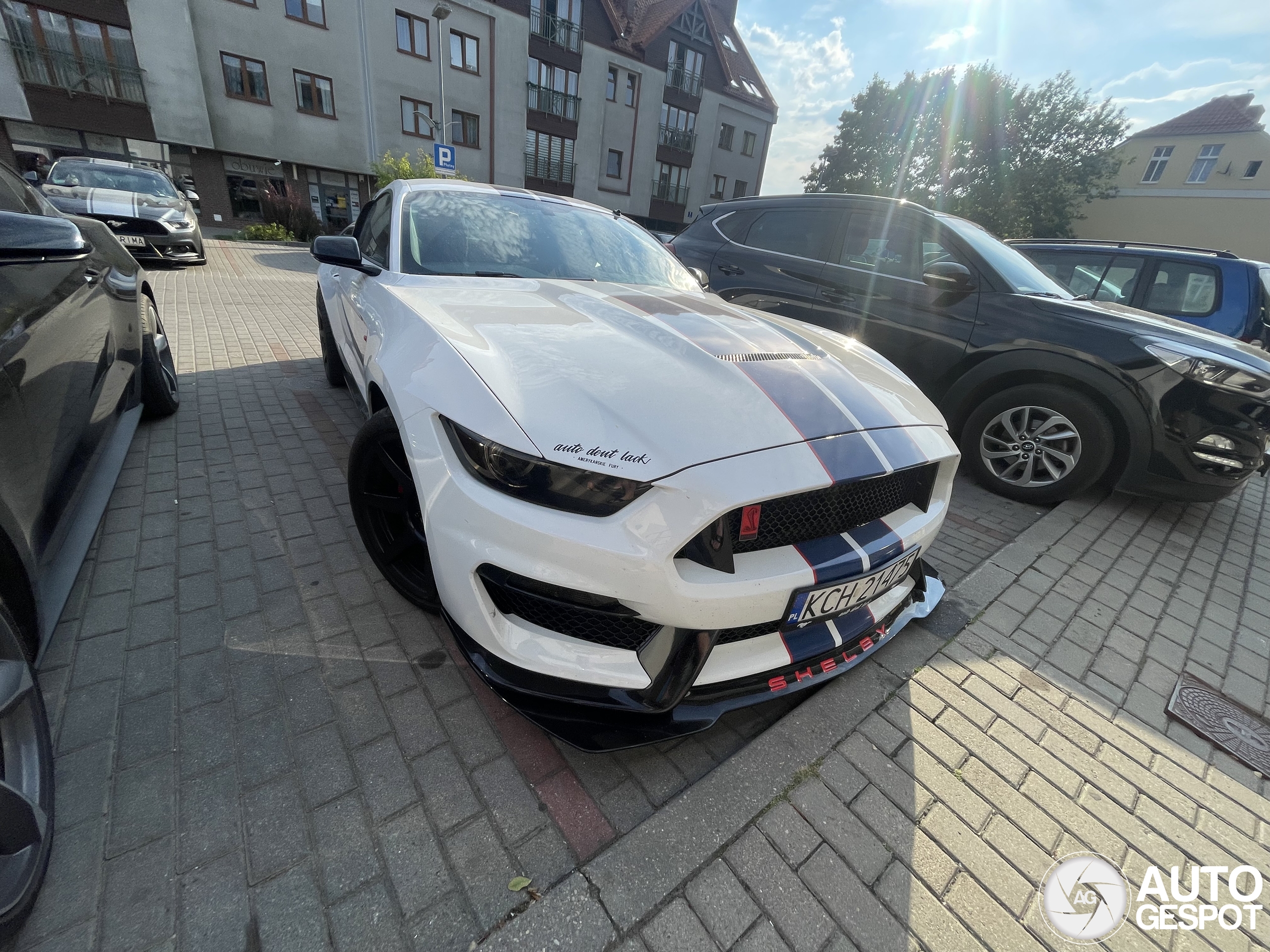 Ford Mustang Shelby GT350R 2015